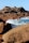 A person standing on a rocky beach next to the ocean