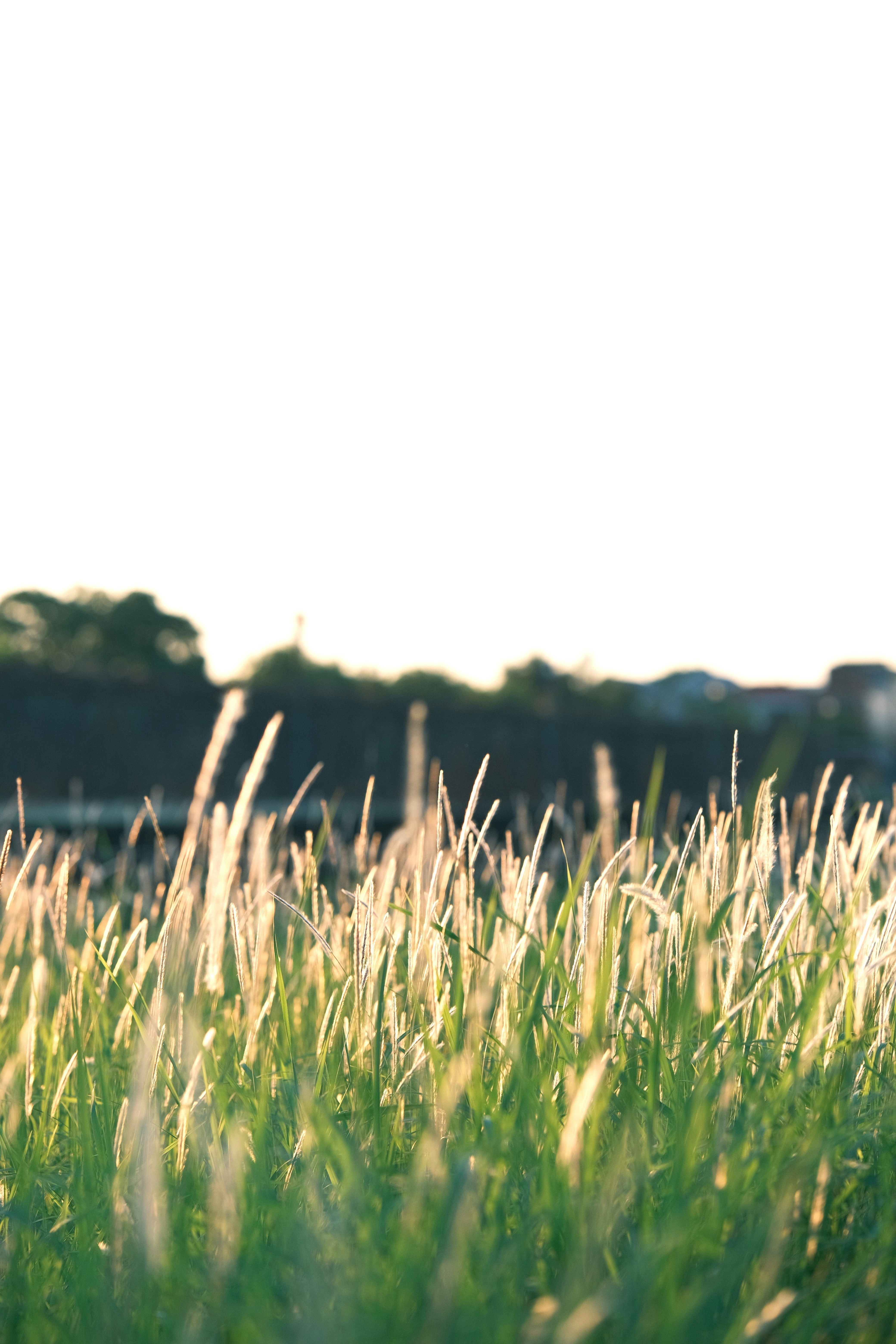 Photo by tutrananh109