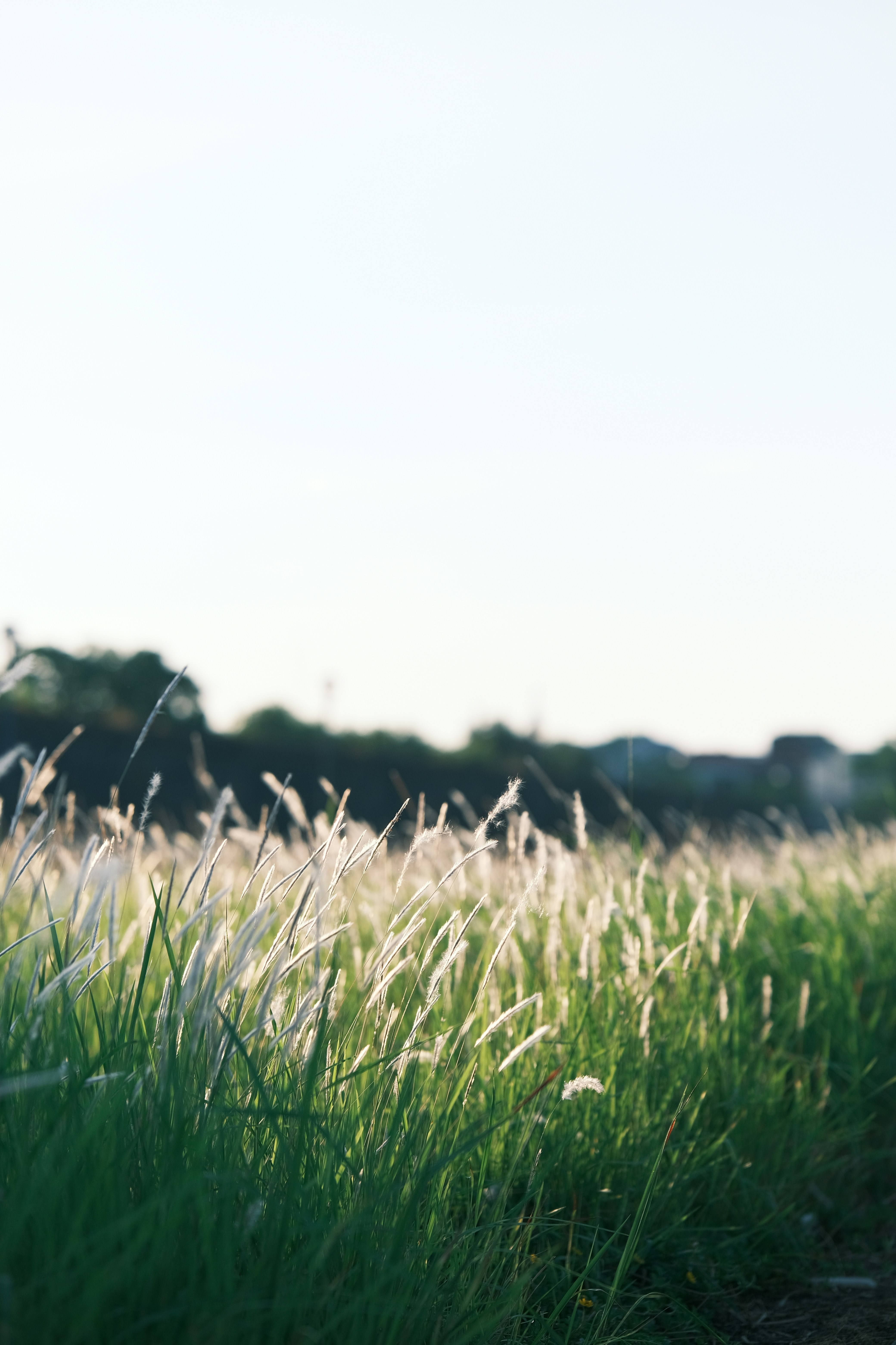 Photo by tutrananh109