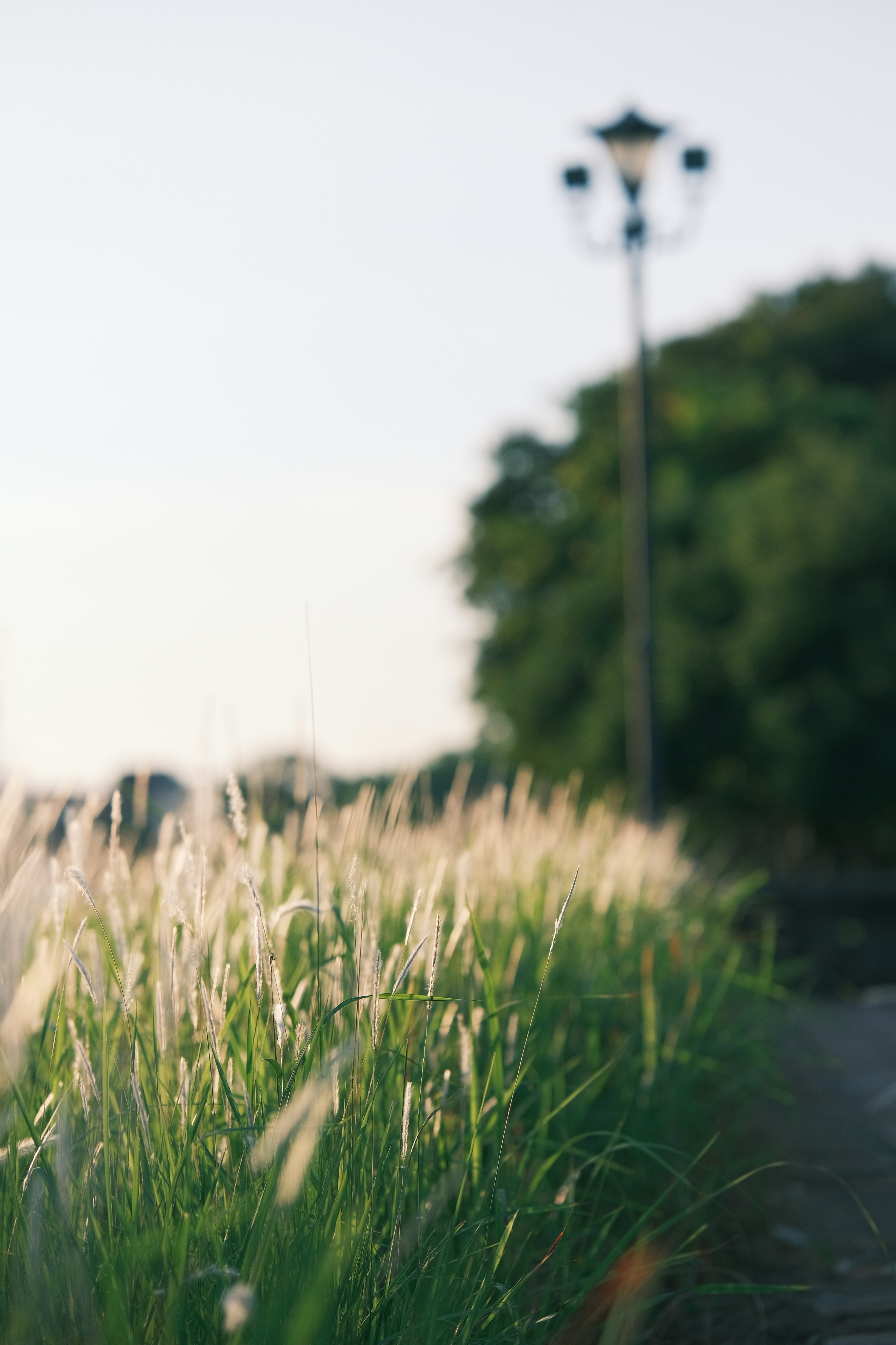 Photo by tutrananh109