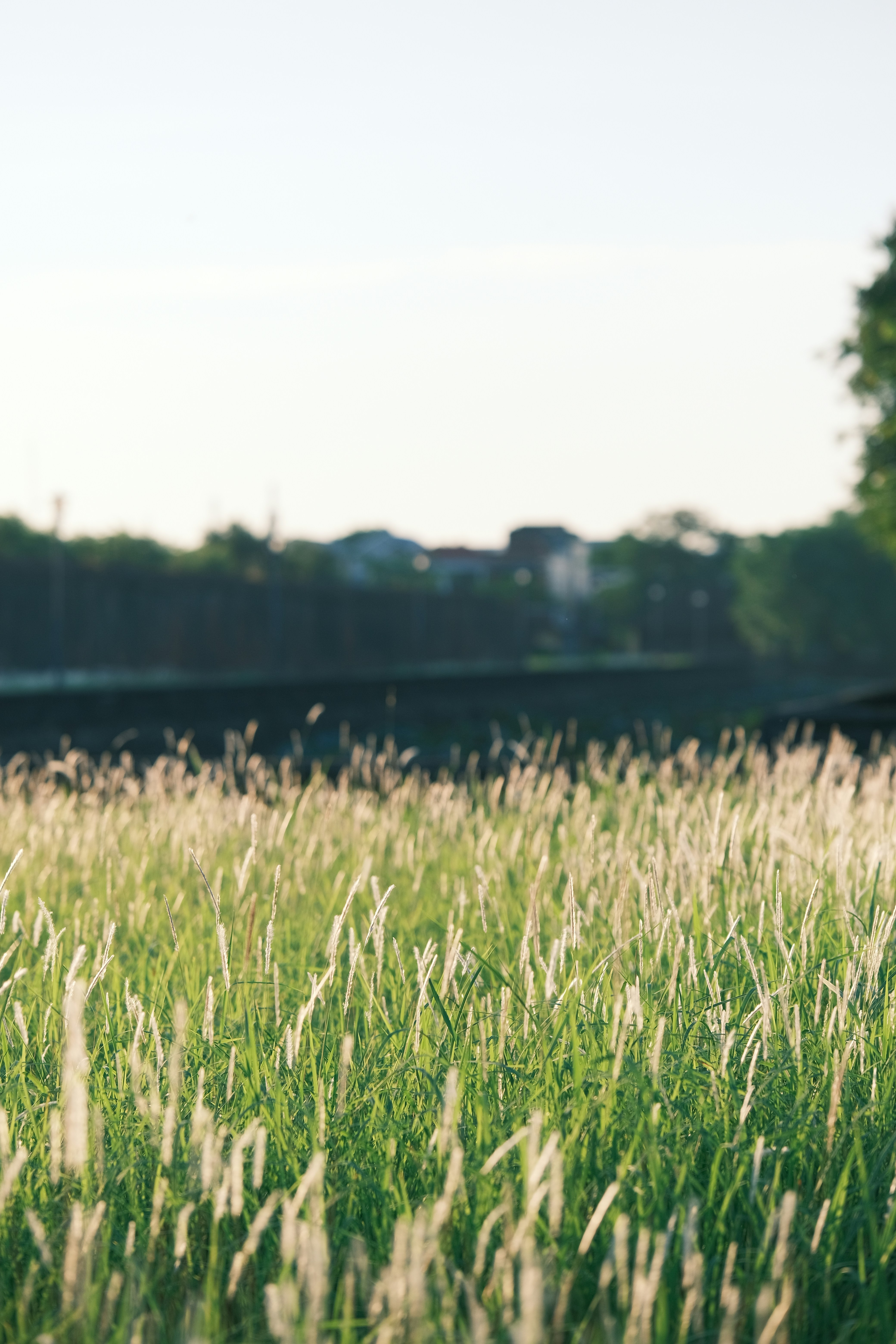 Photo by tutrananh109