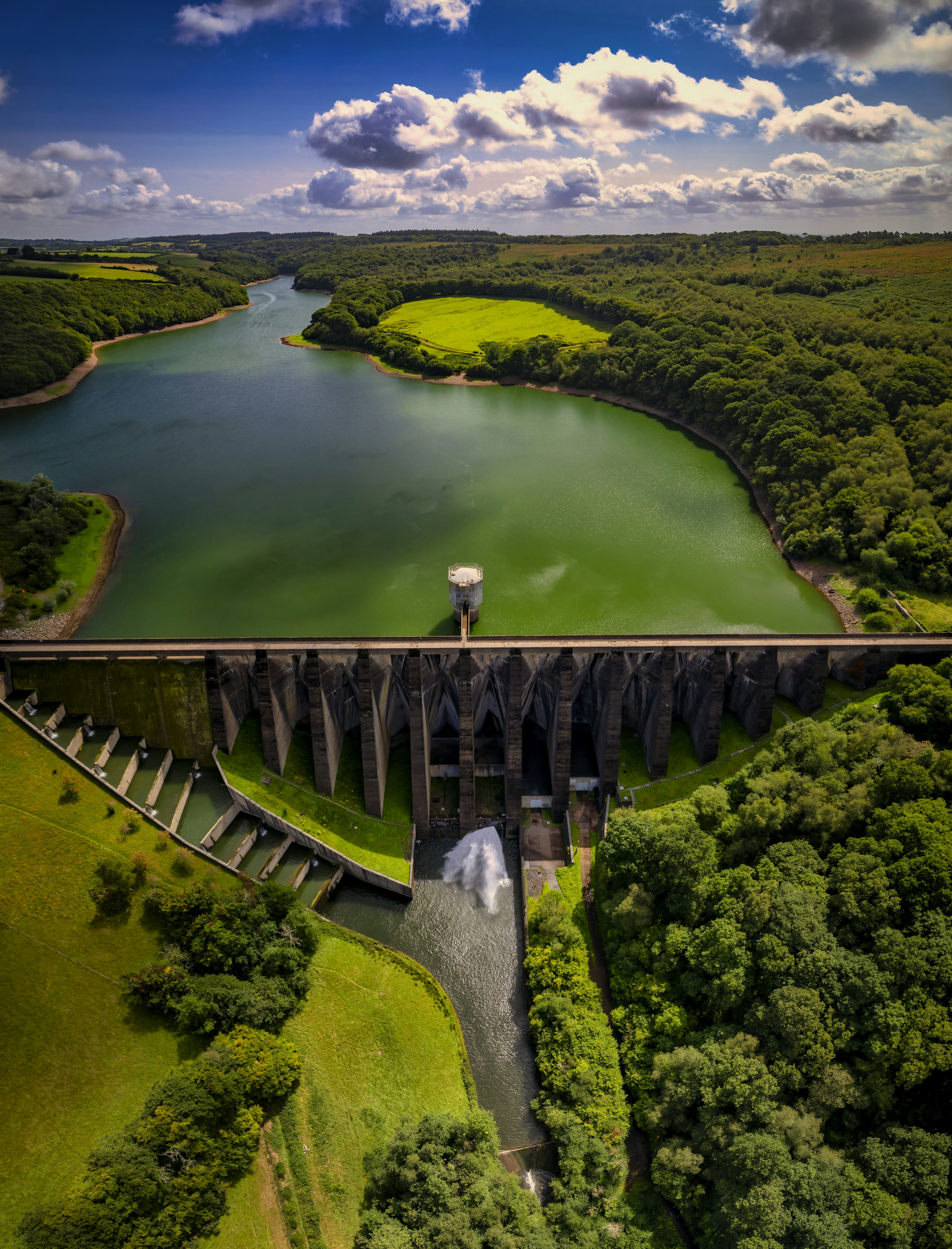 A large body of water surrounded by lush green trees