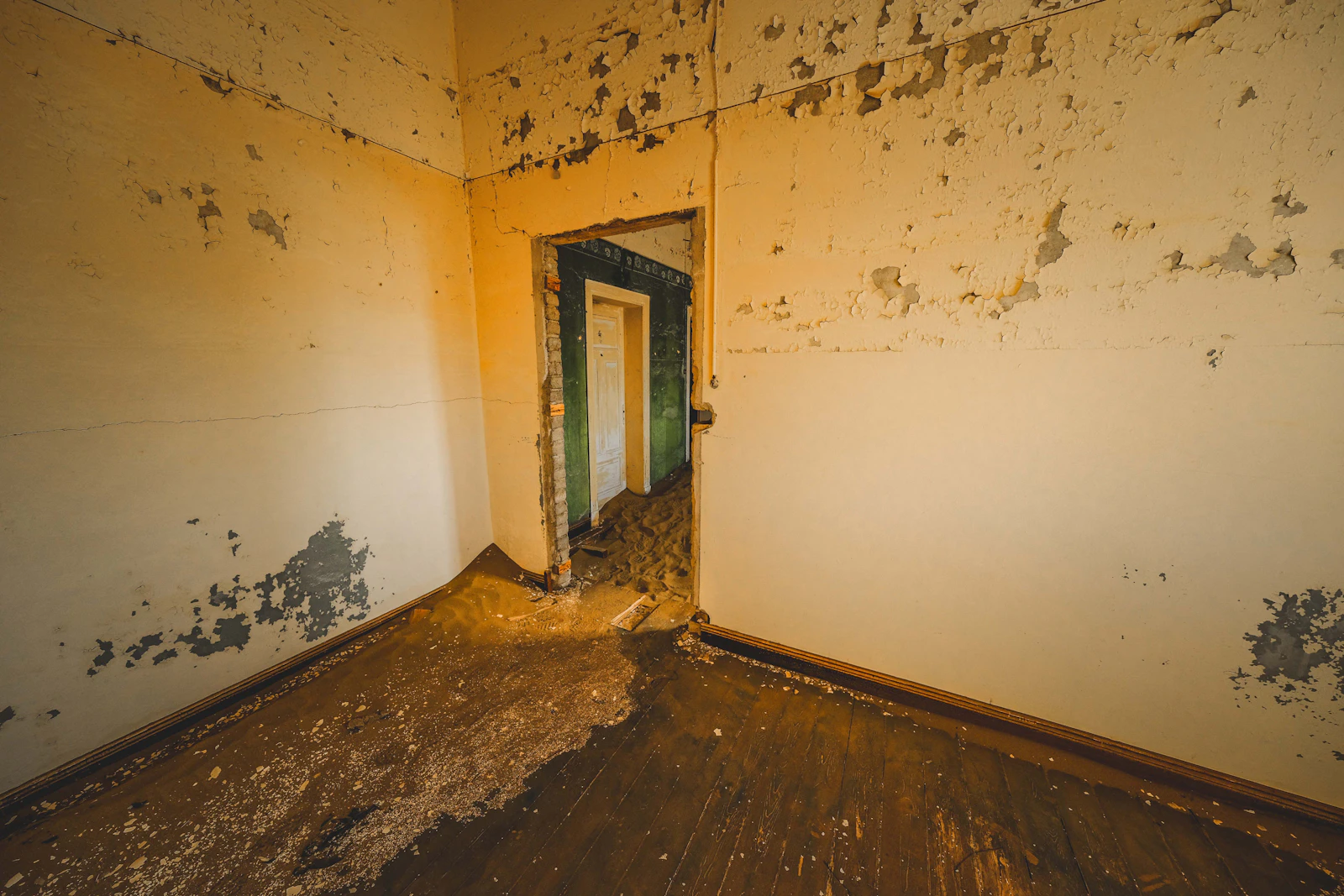 Mold Remediation