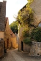 A cobblestone street in a small village
