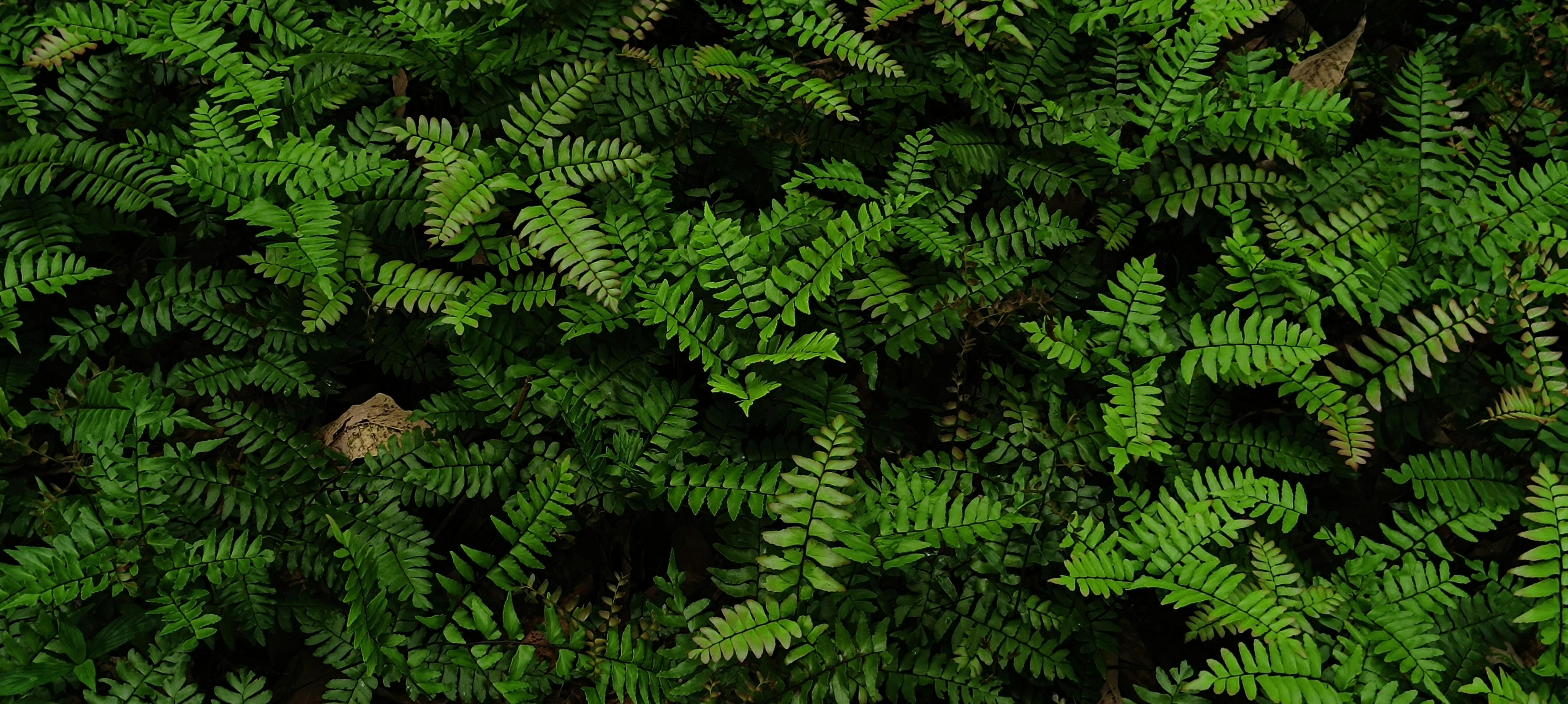 Photo by akhilabhilash01