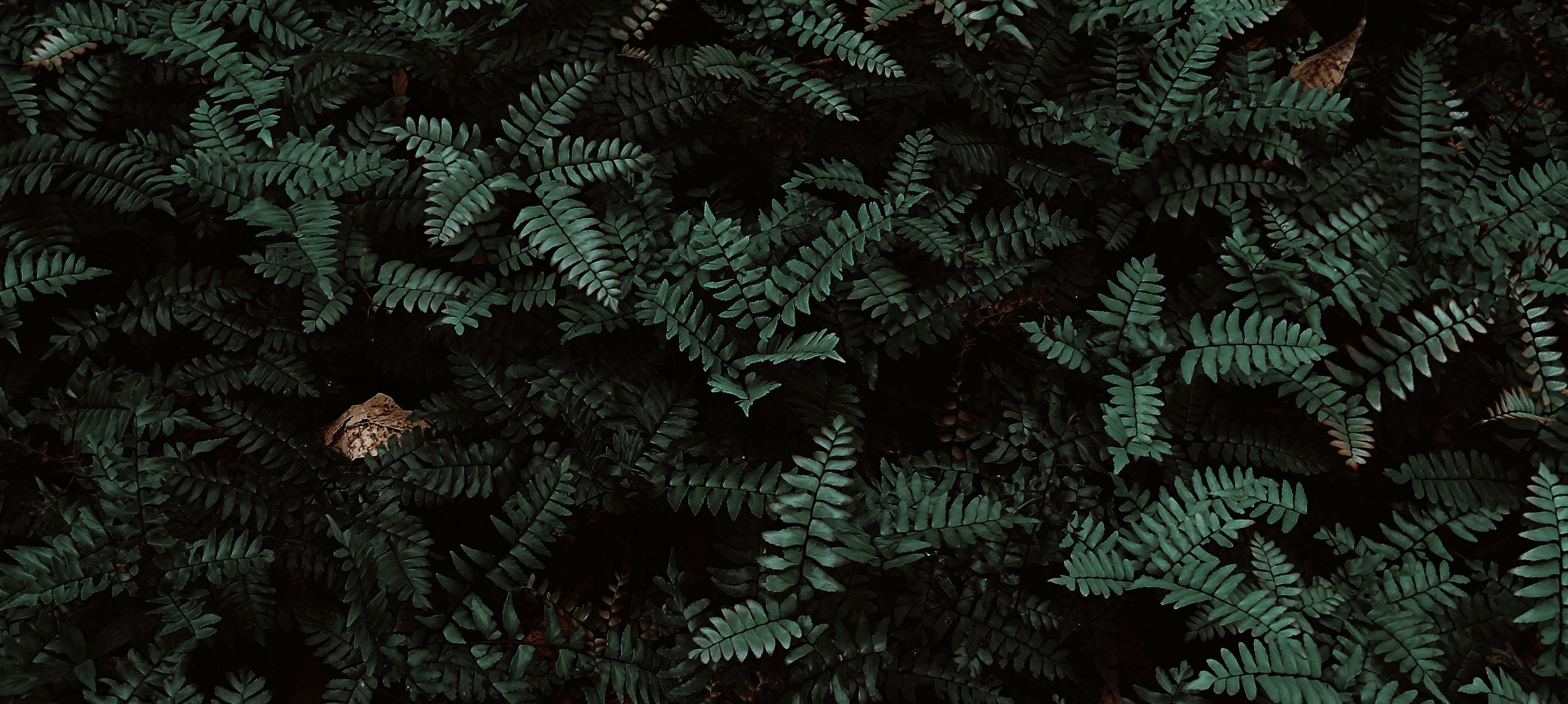 Photo by akhilabhilash01