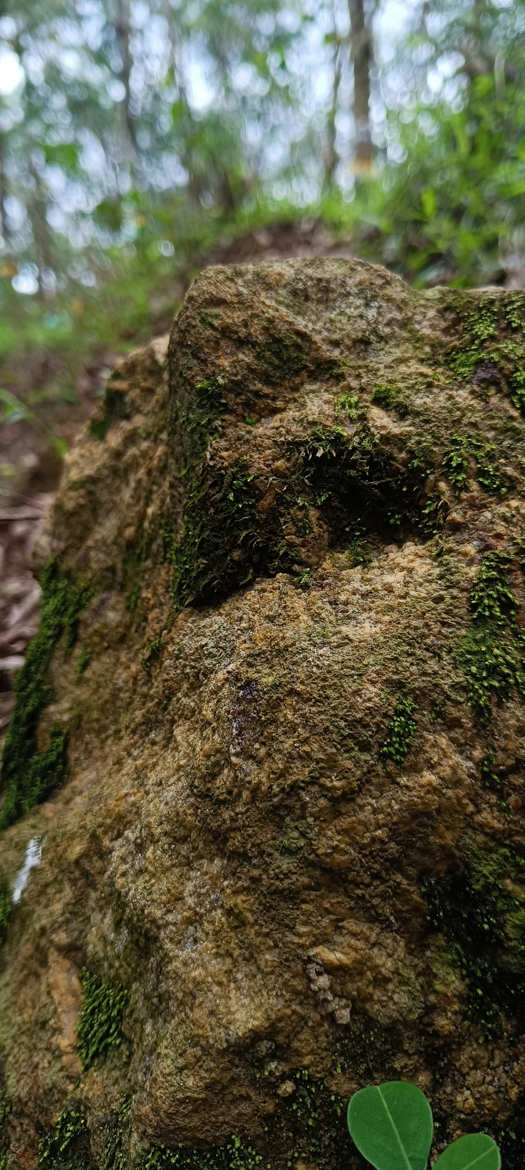 Photo by akhilabhilash01