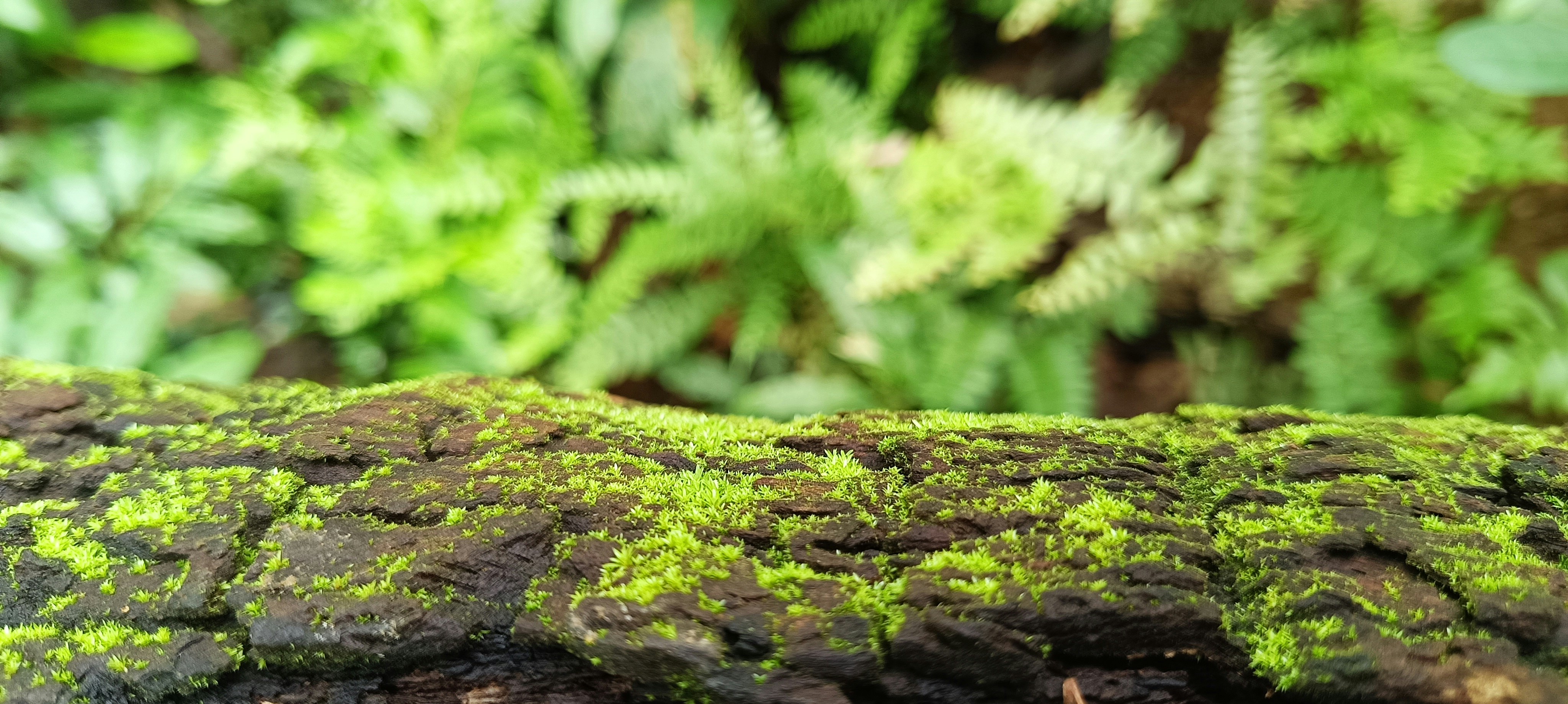 Photo by akhilabhilash01