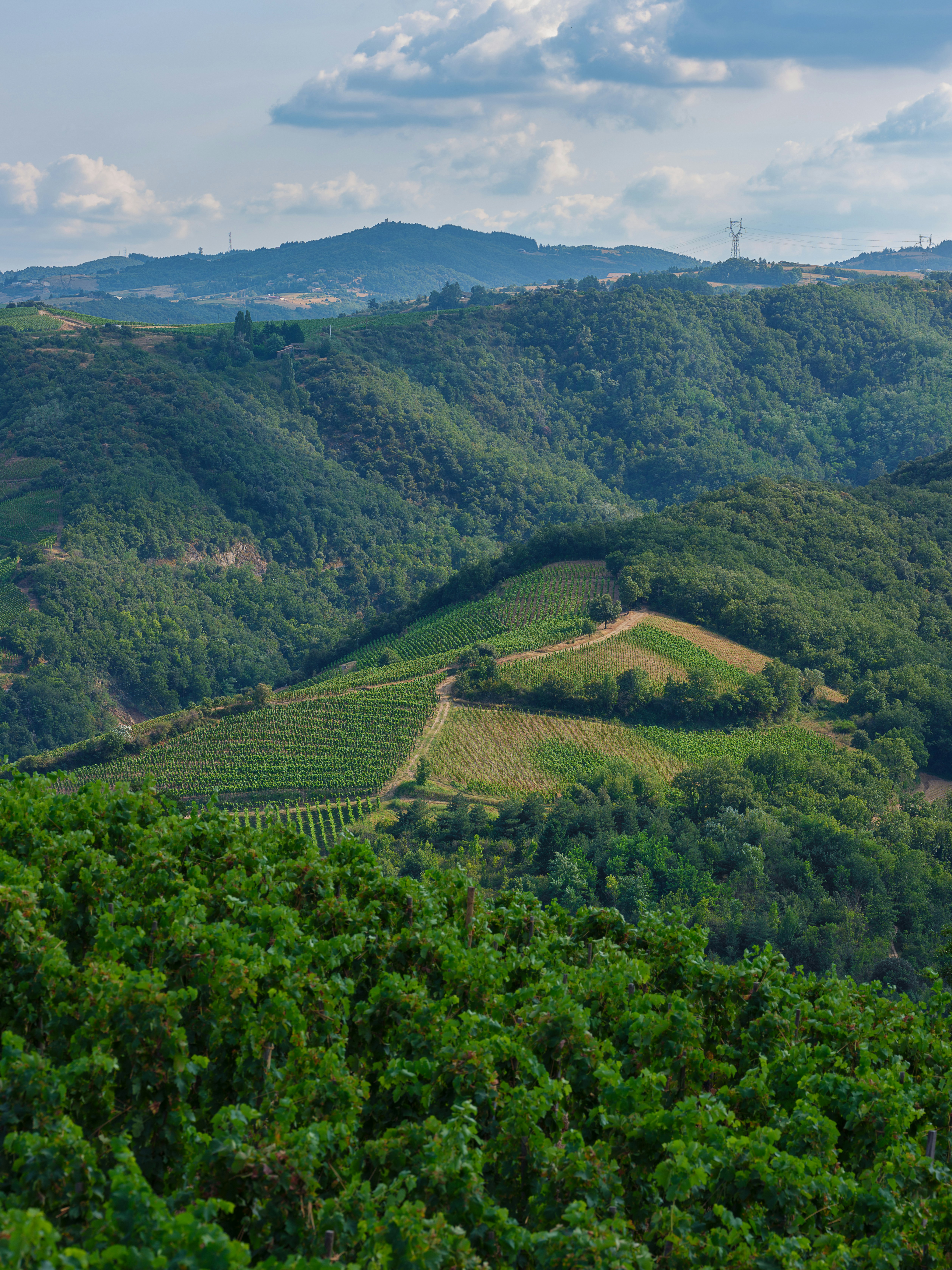 A scenic view of a valley surrounded by mountains