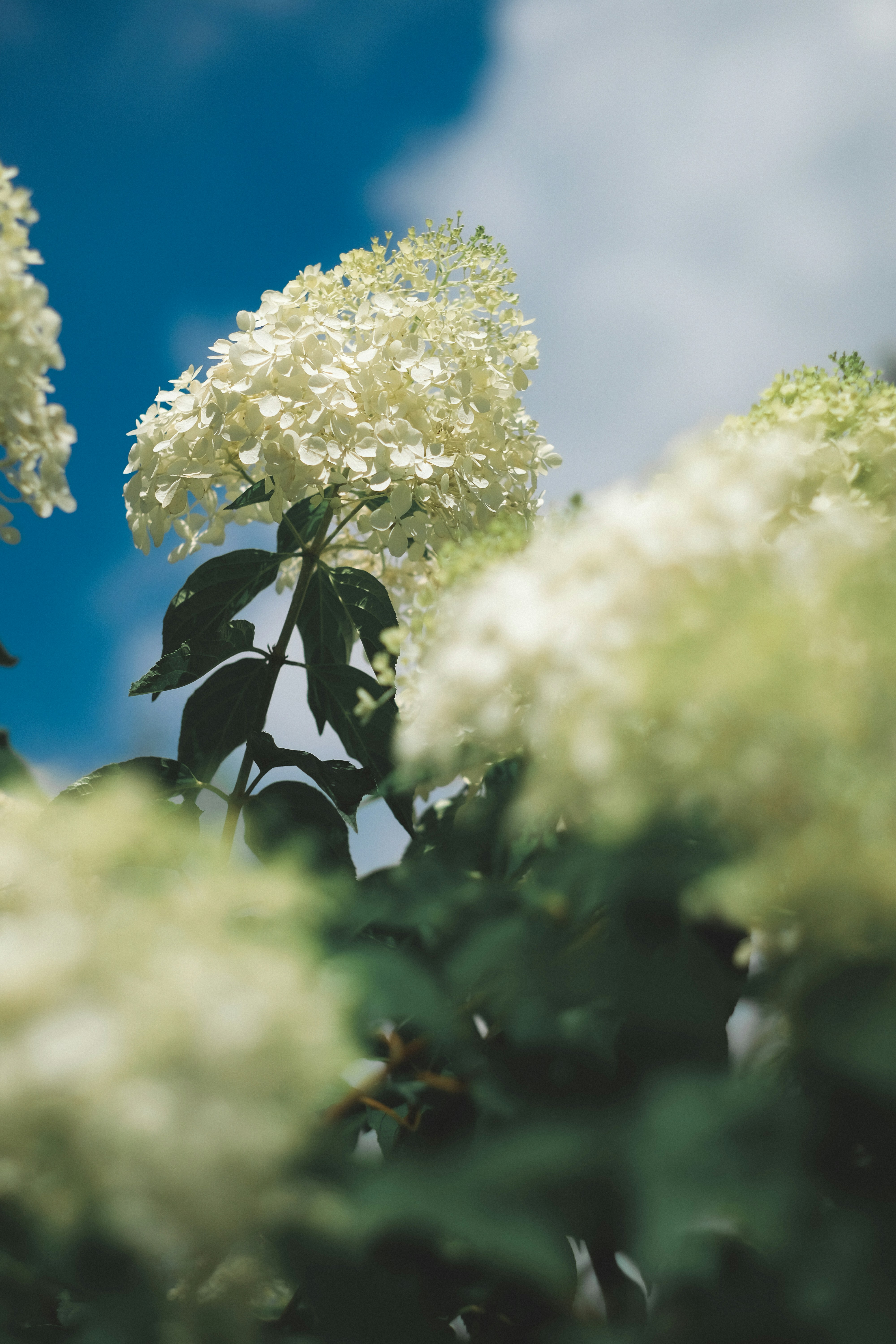 Photo by hanyiseul