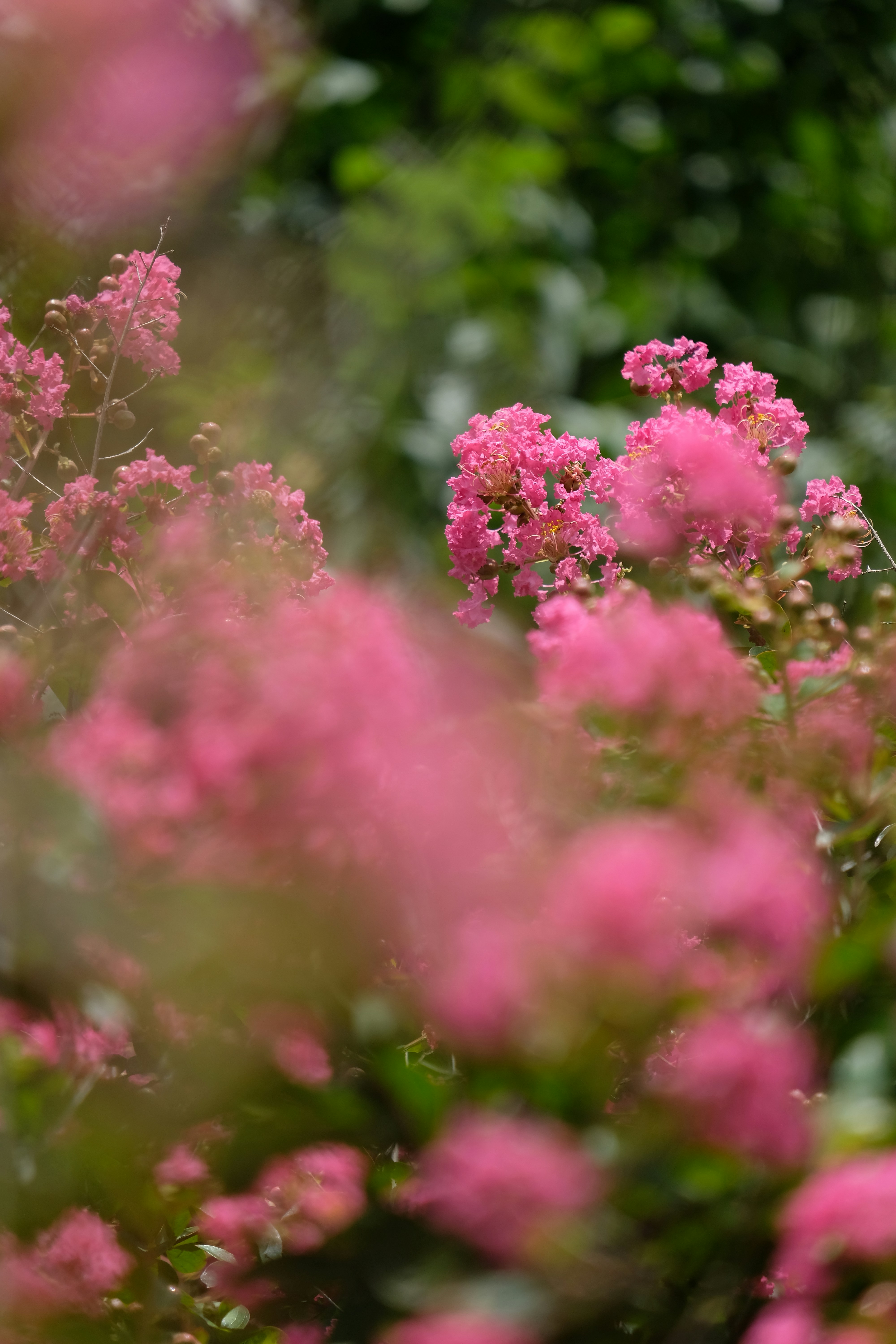 Photo by hanyiseul