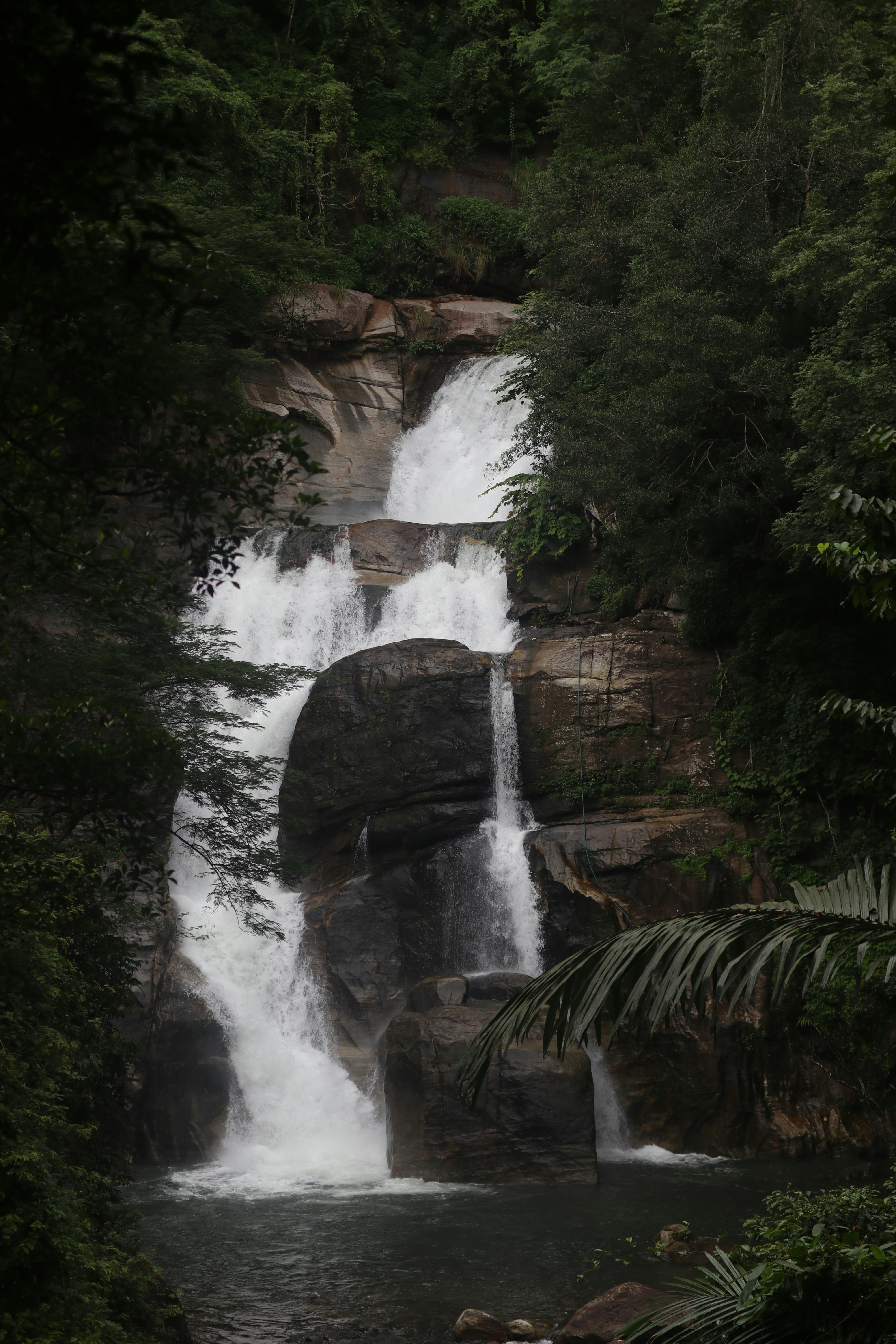 Photo by dinesh_d_kumar