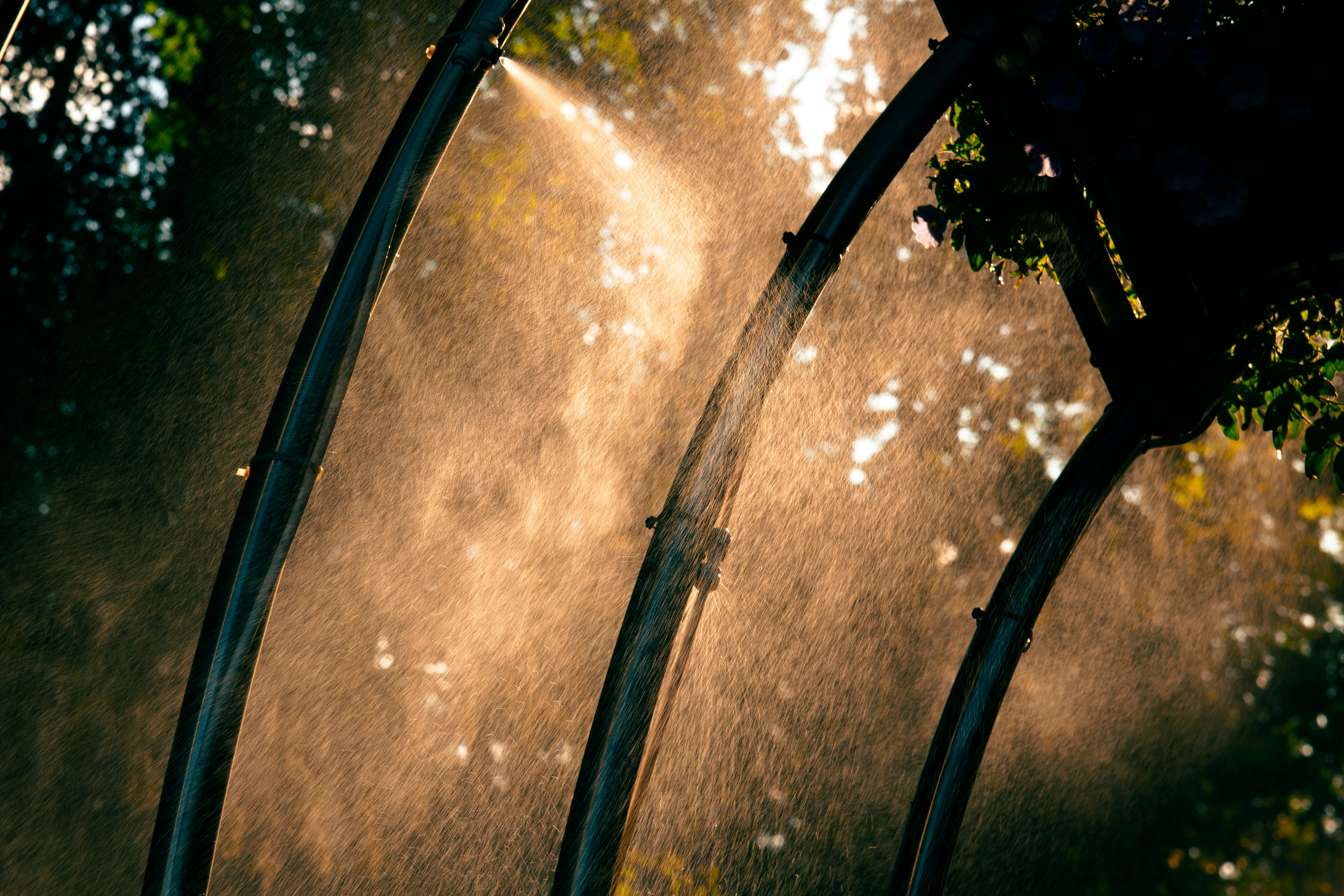 Photo by sam_badmaeva