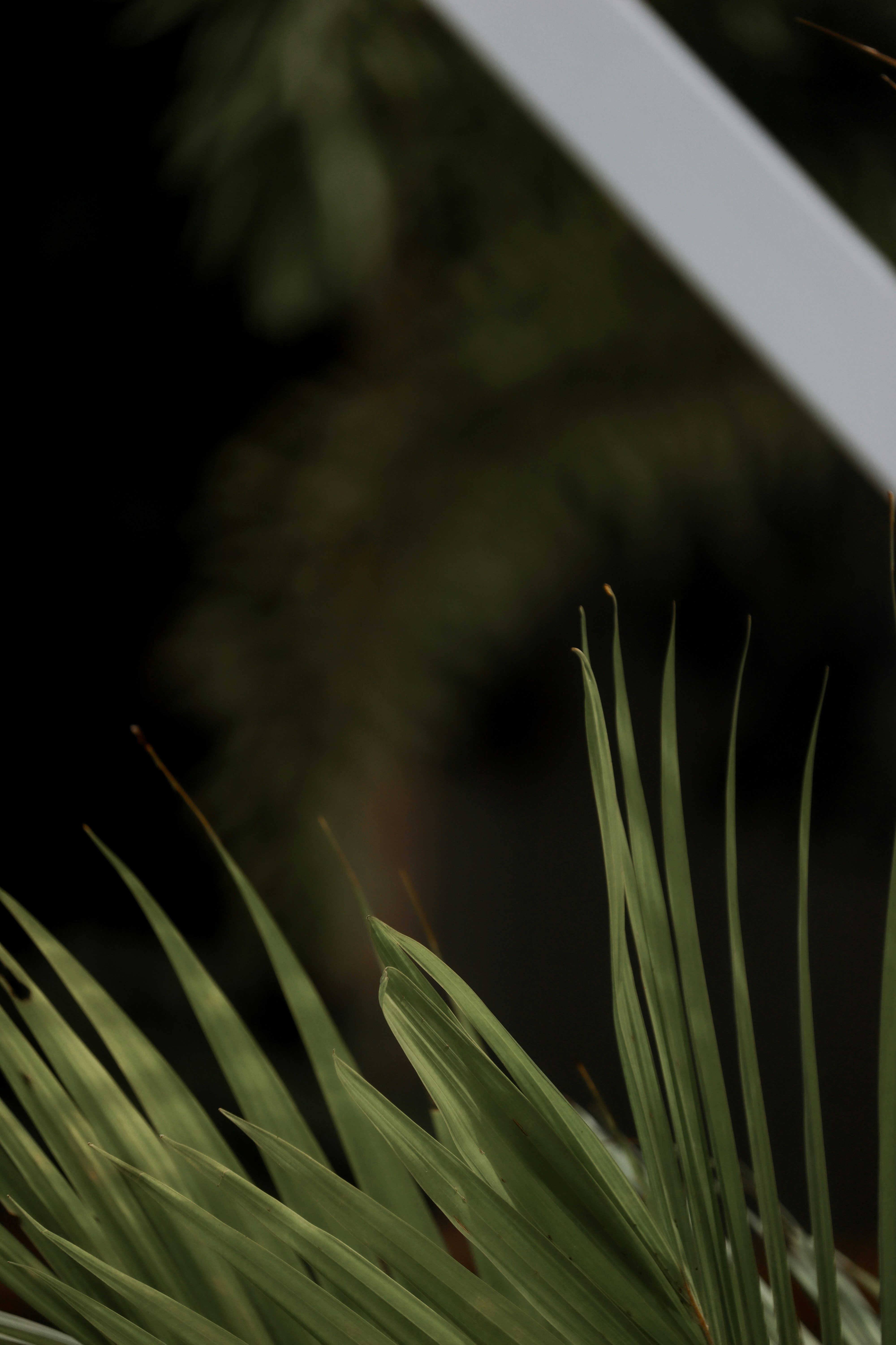 Photo by playmaker12