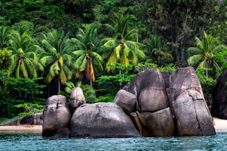 A group of large rocks sitting on top of a beach