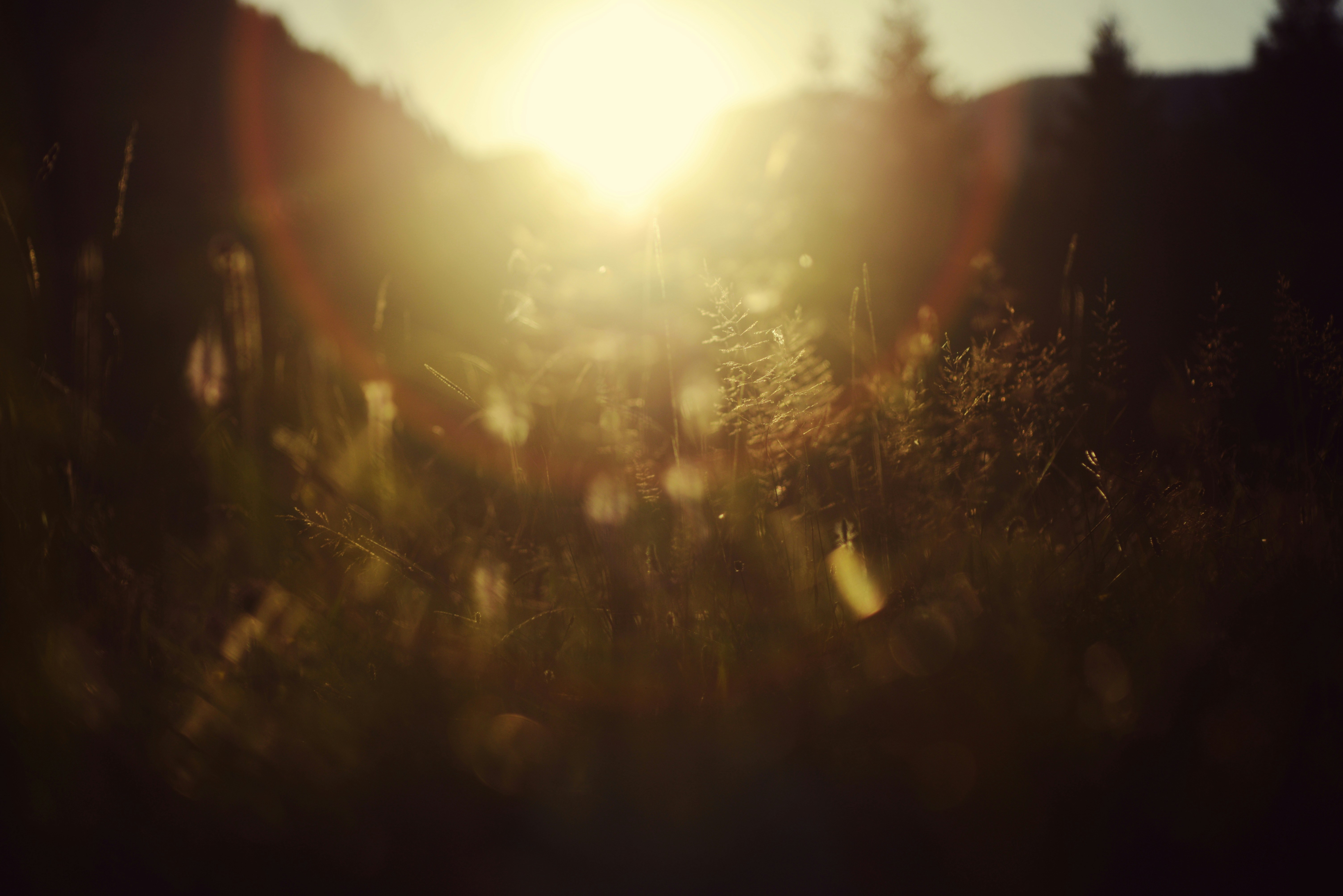 Photo by cherstve_pechivo