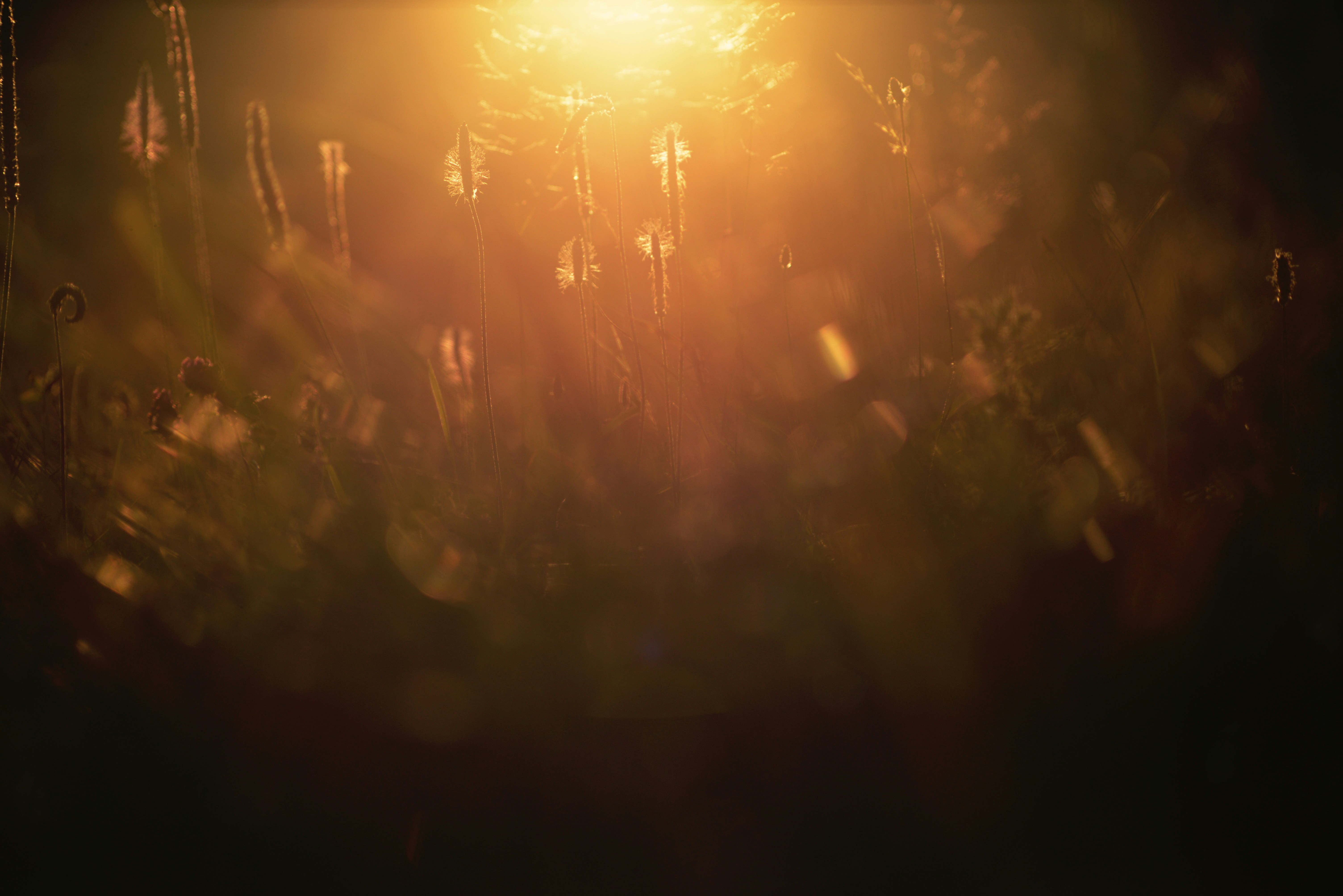 Photo by cherstve_pechivo