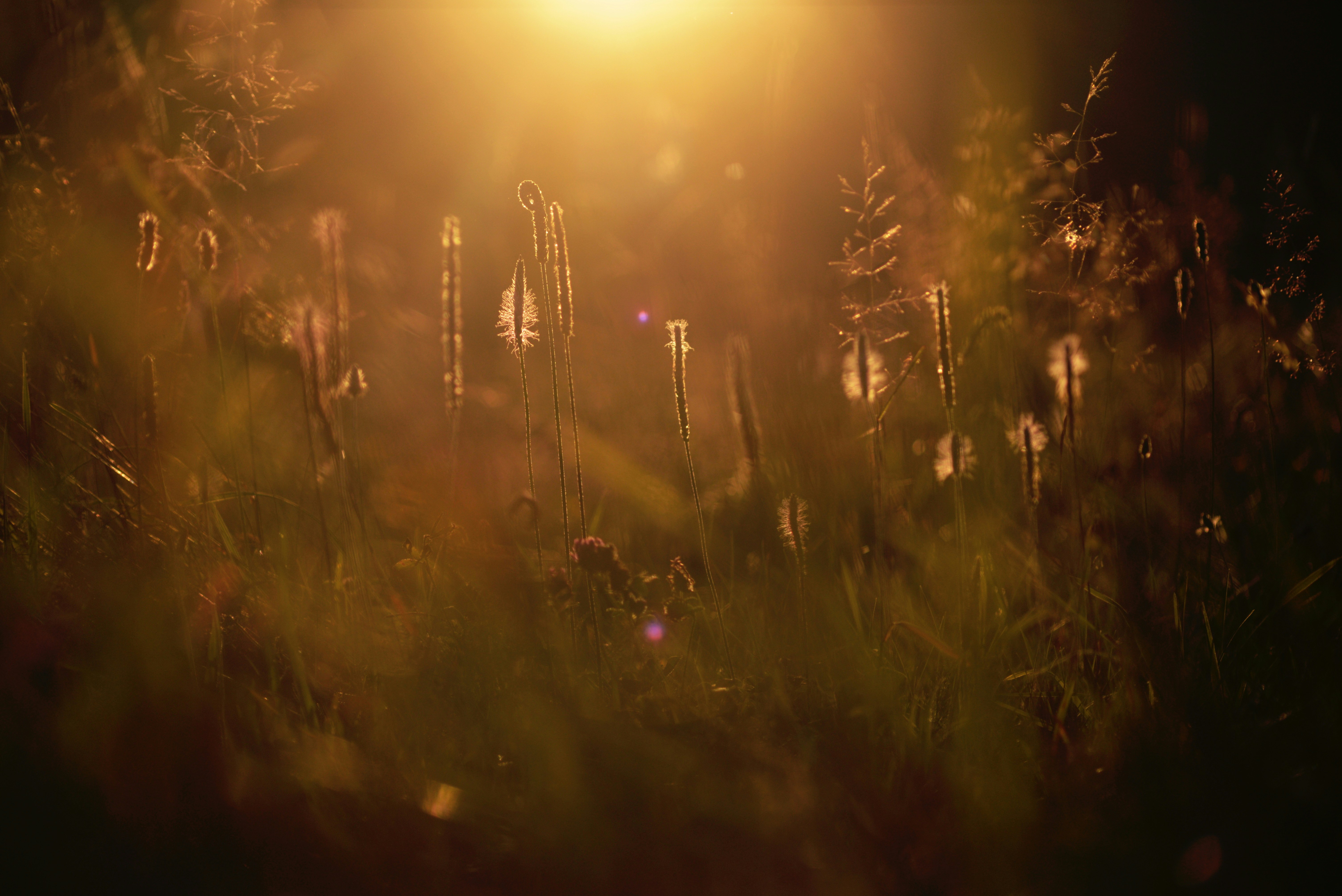 Photo by cherstve_pechivo