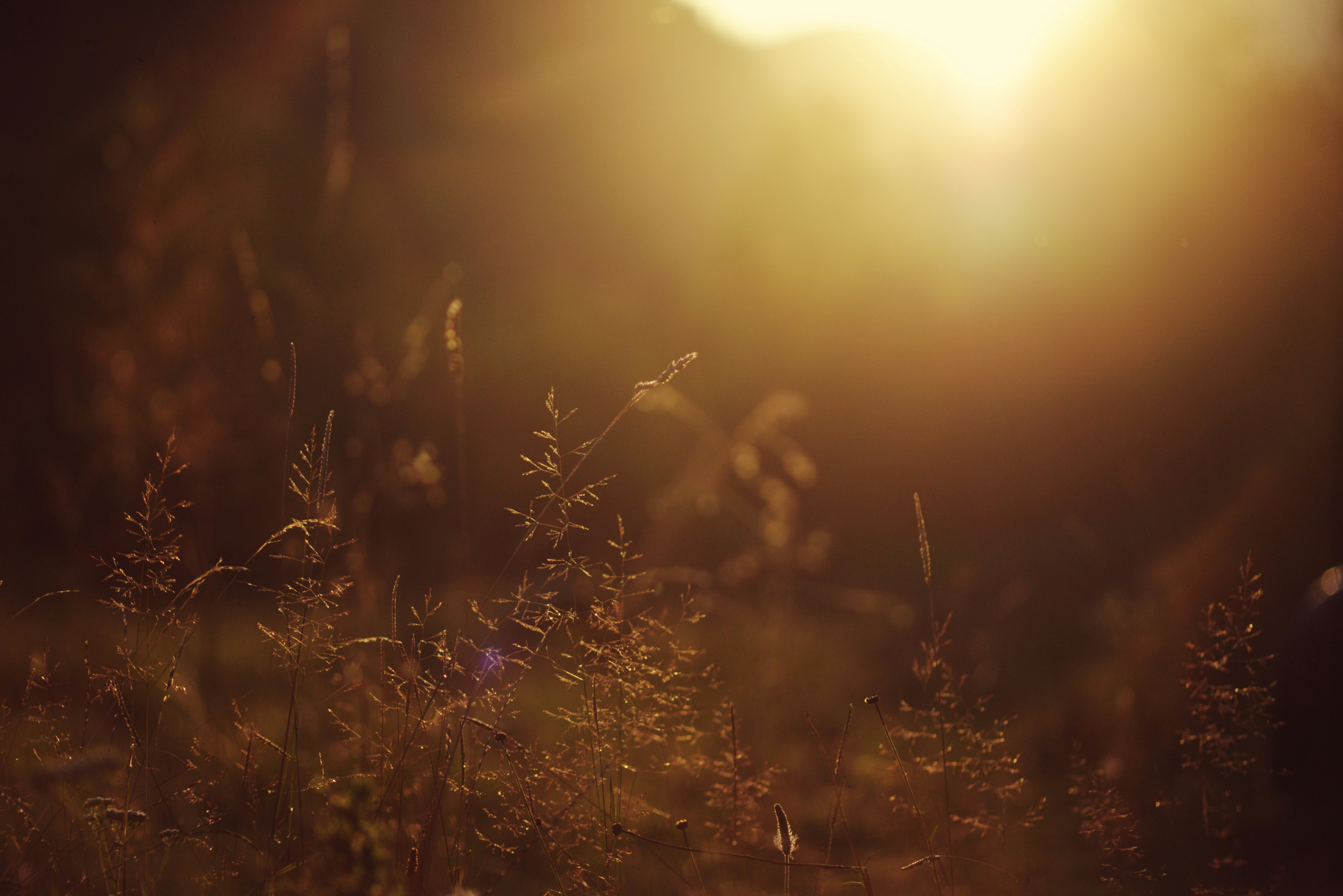 Photo by cherstve_pechivo