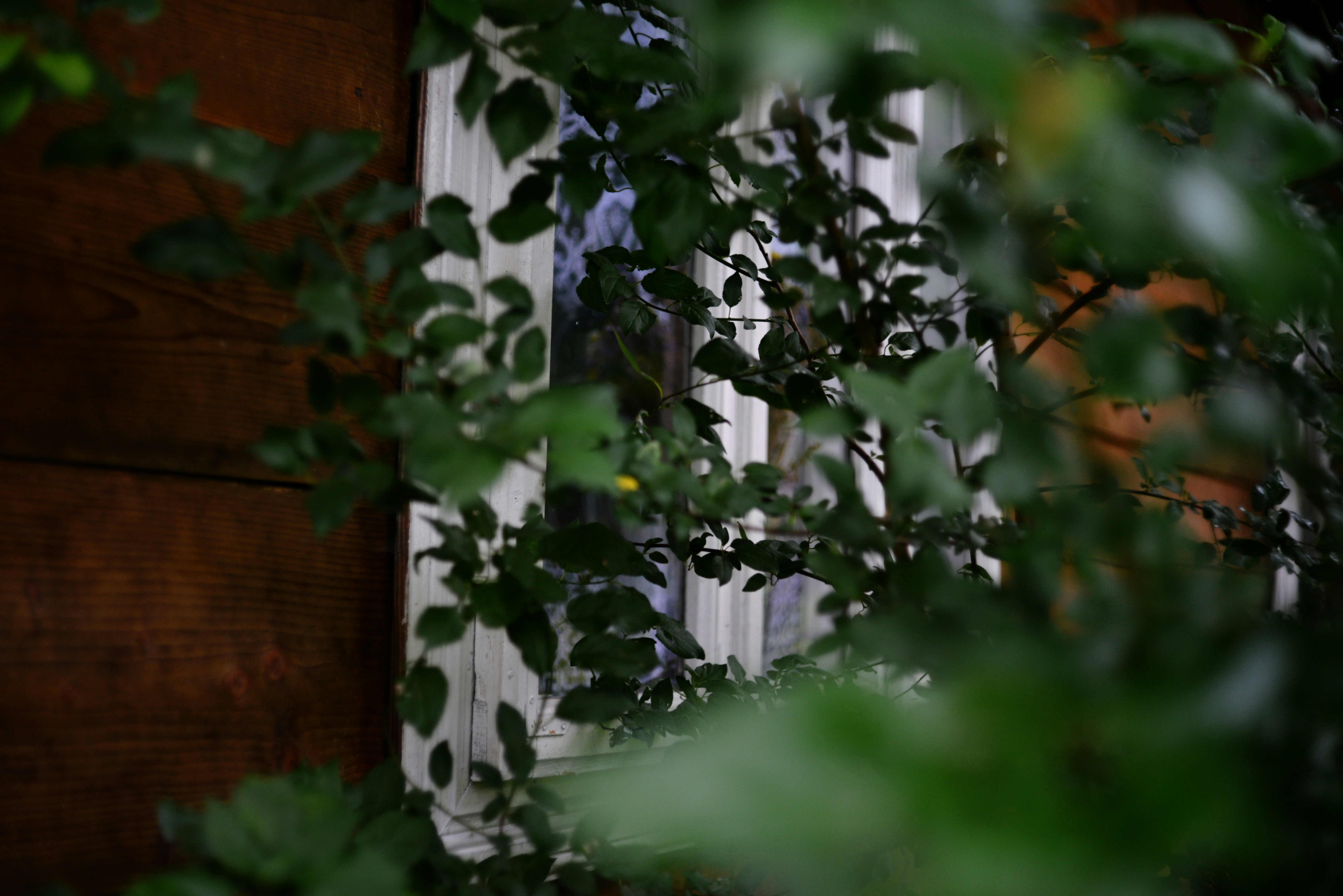 Photo by cherstve_pechivo