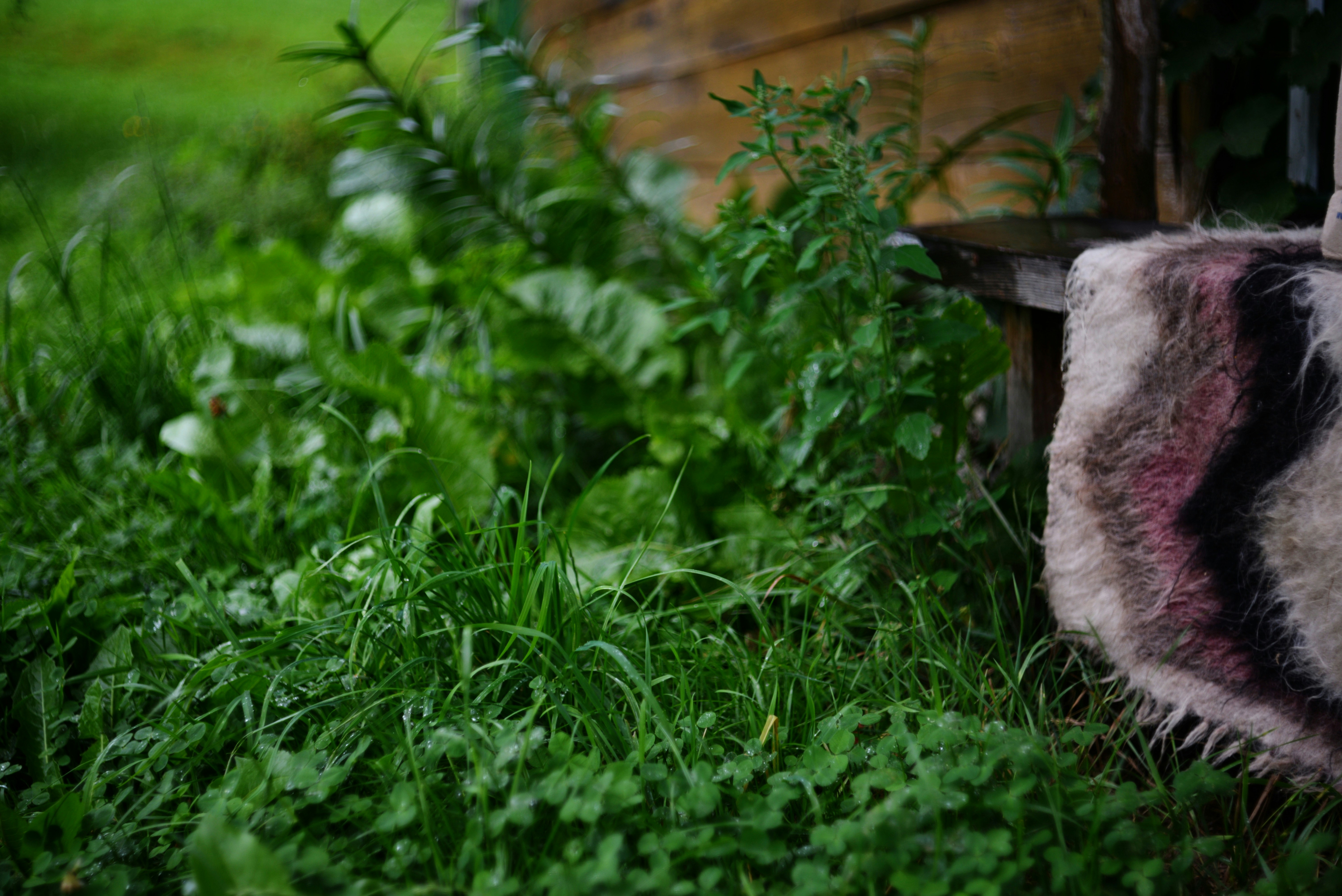 Photo by cherstve_pechivo