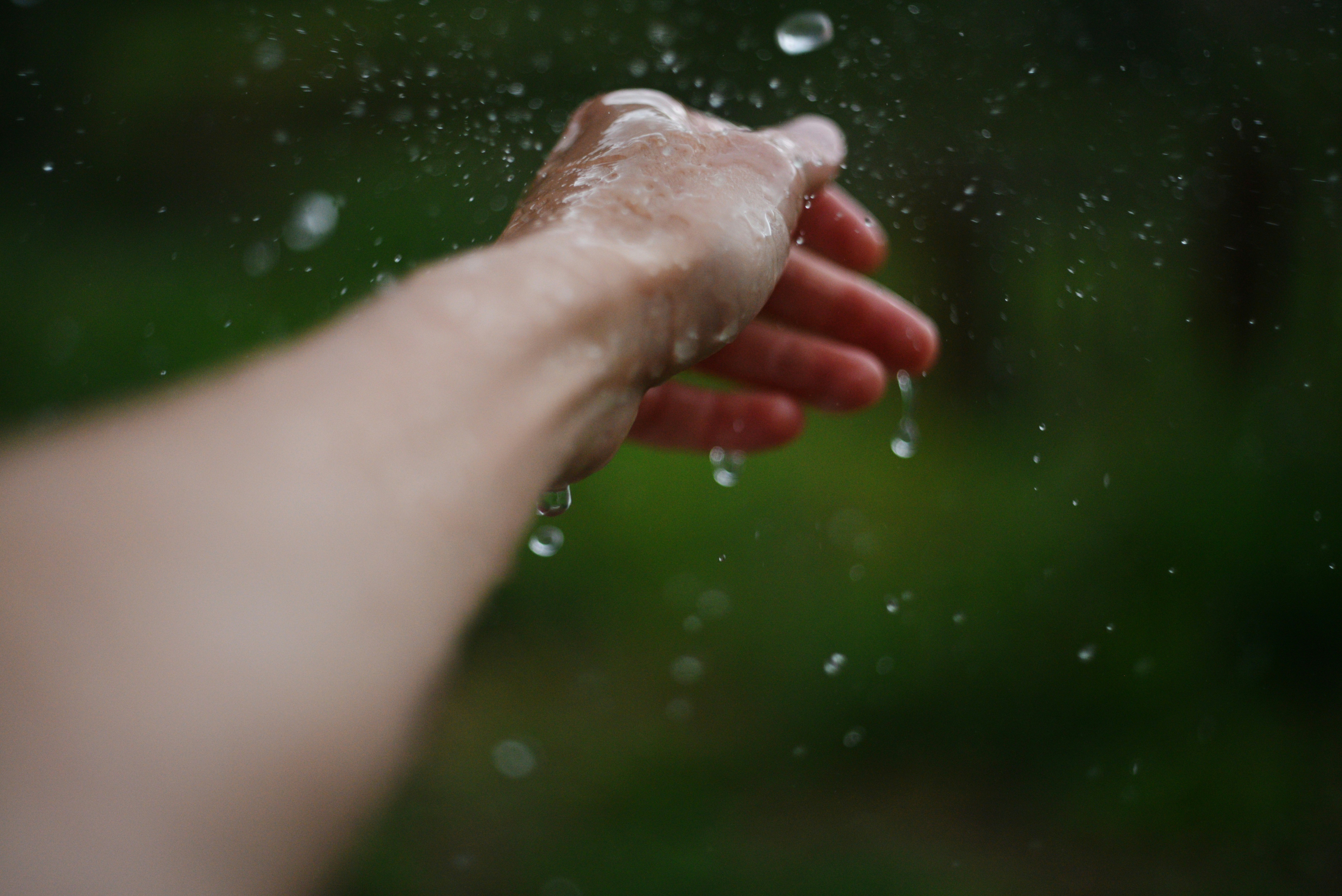 You Were Born to Move