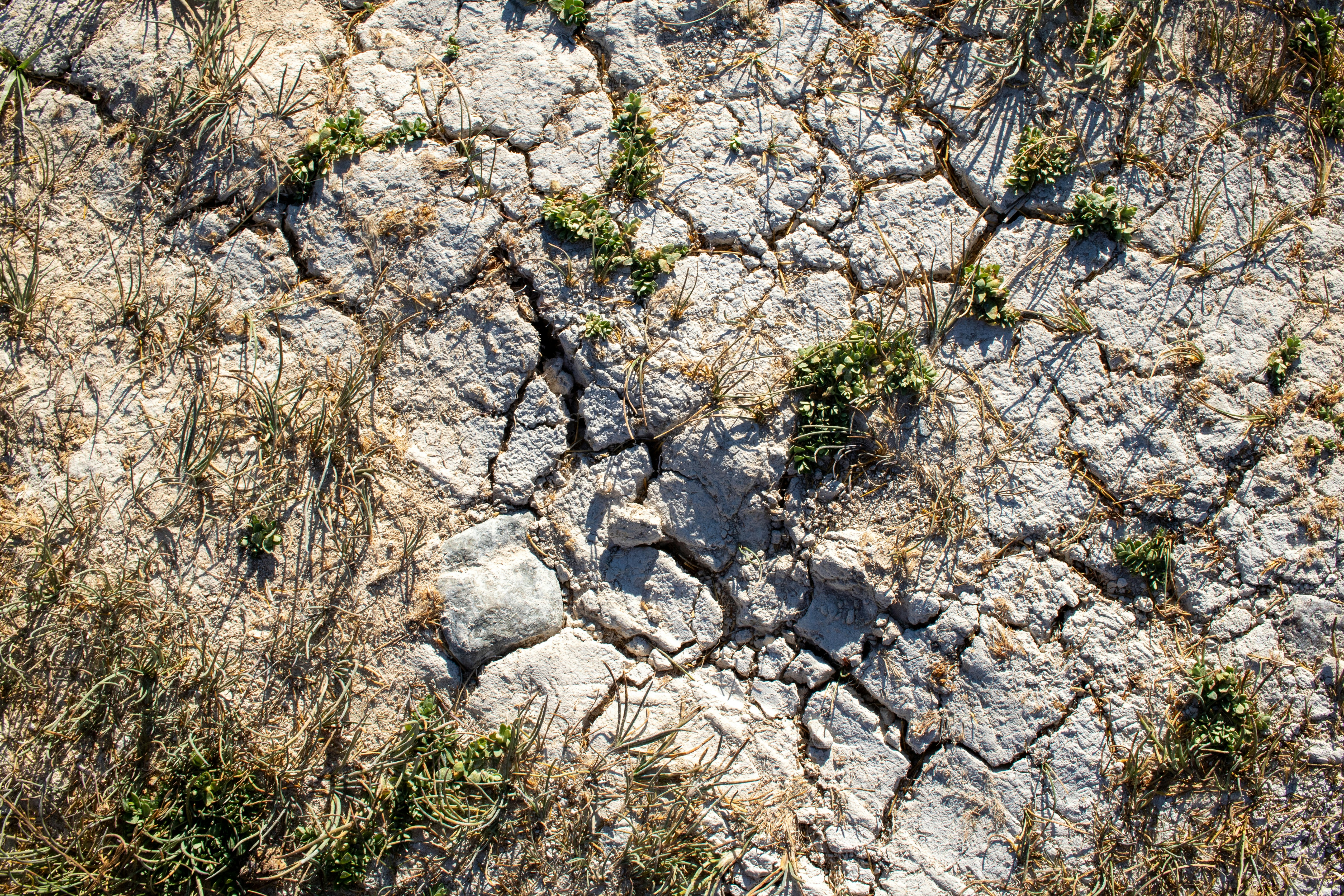 Photo by zoshuacolah