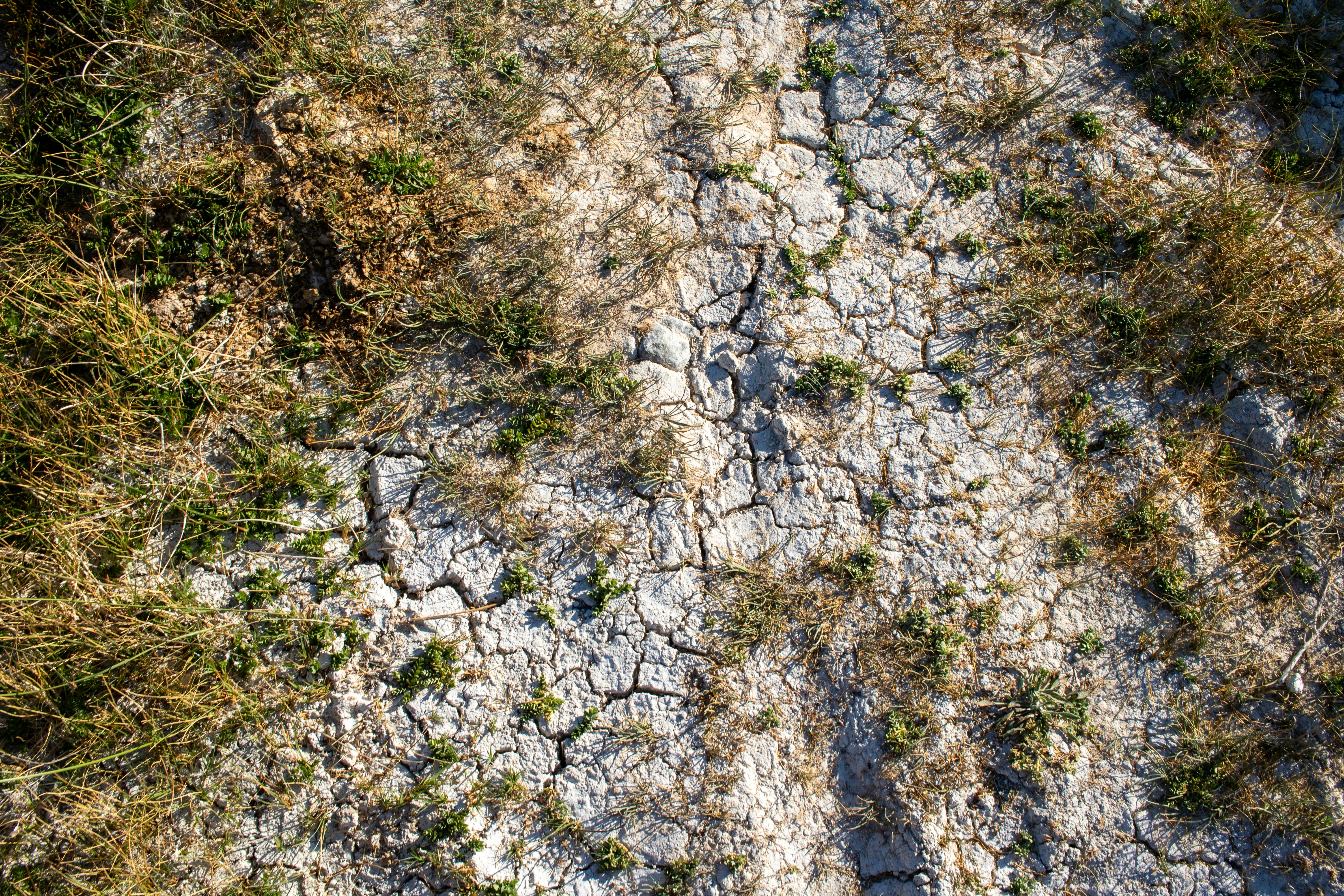 Photo by zoshuacolah