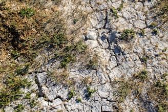 An aerial view of a rocky area with grass and rocks