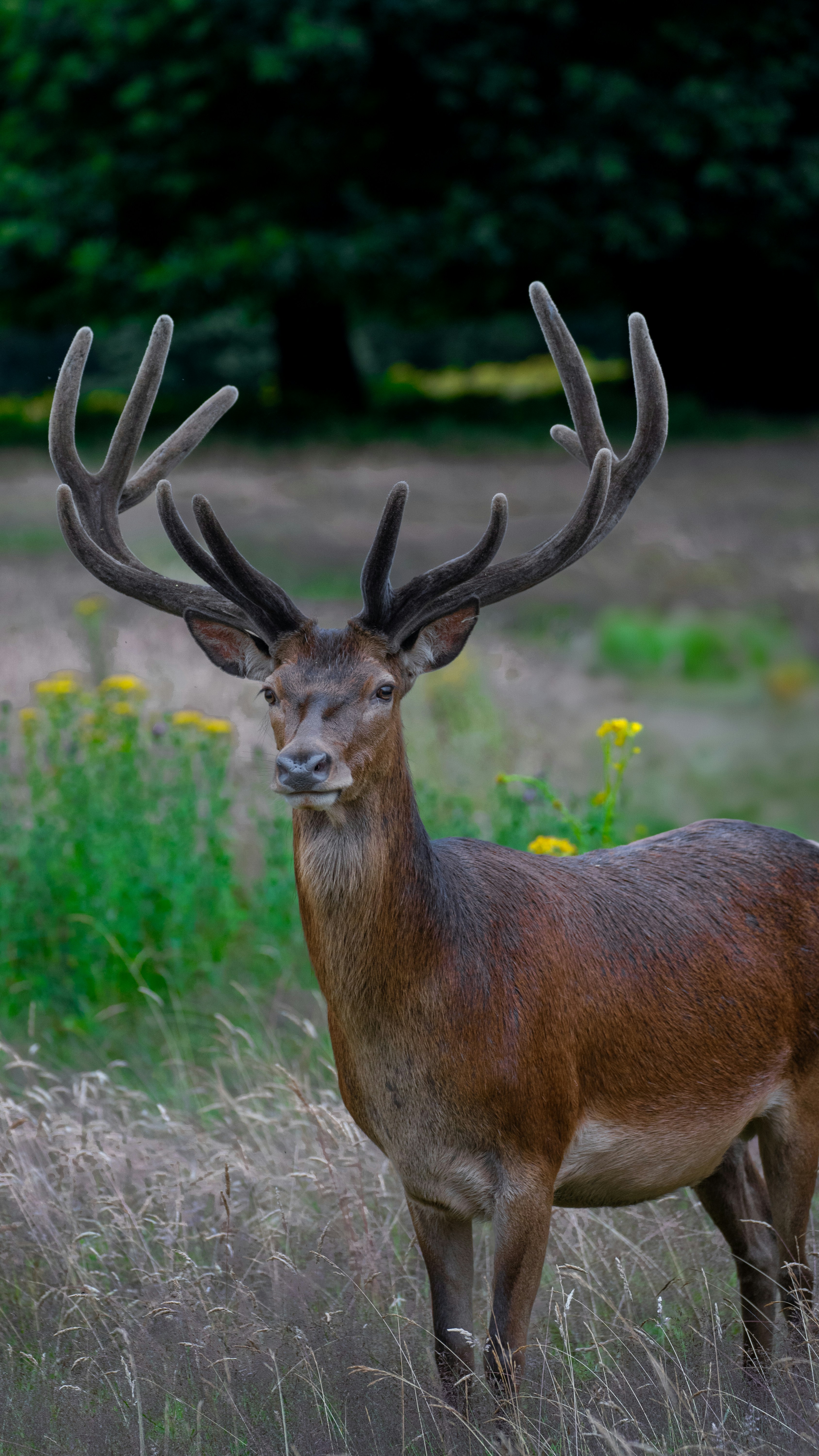 Photo by saidyigitcamlica