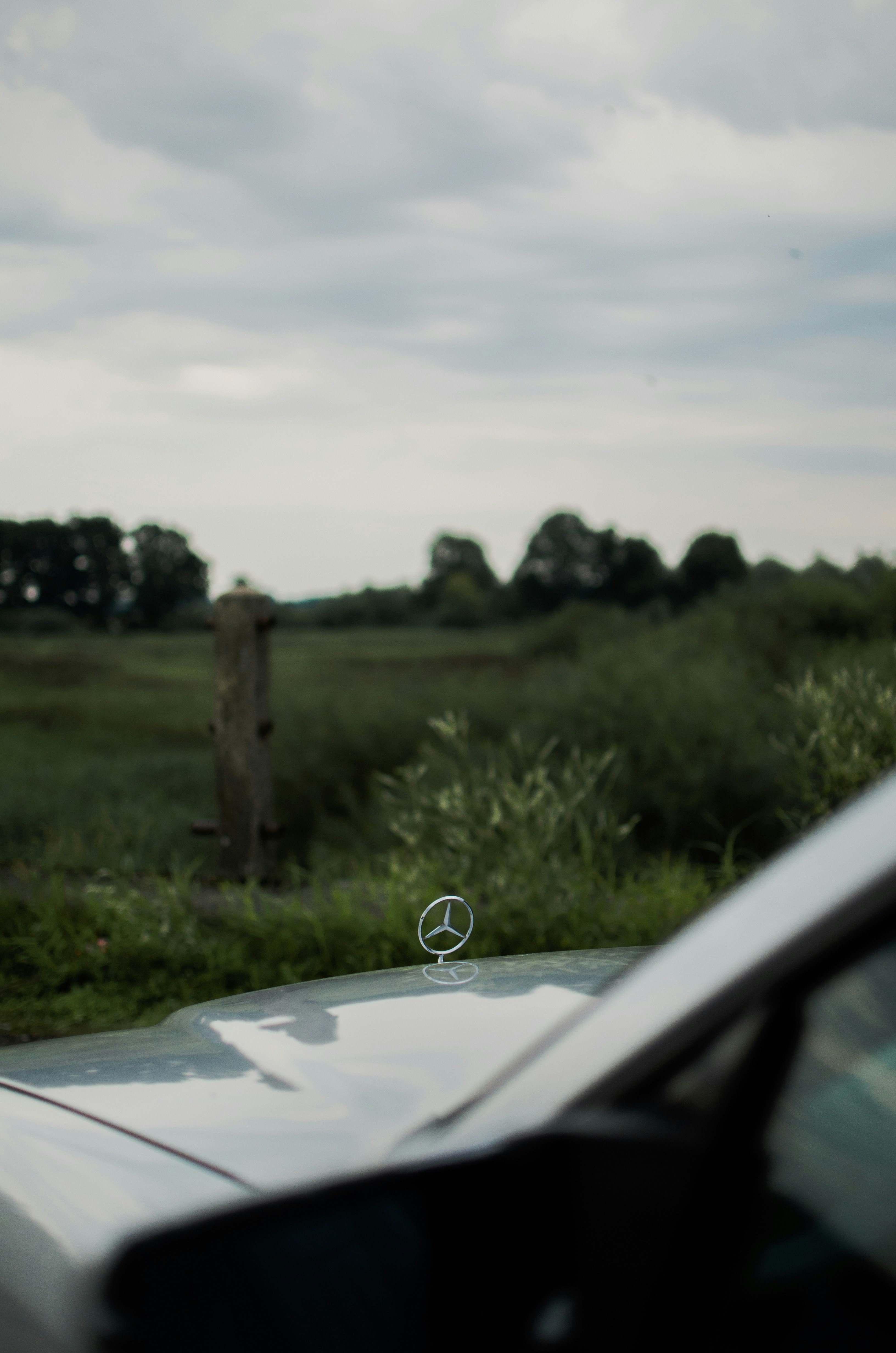 Photo by george_ph39