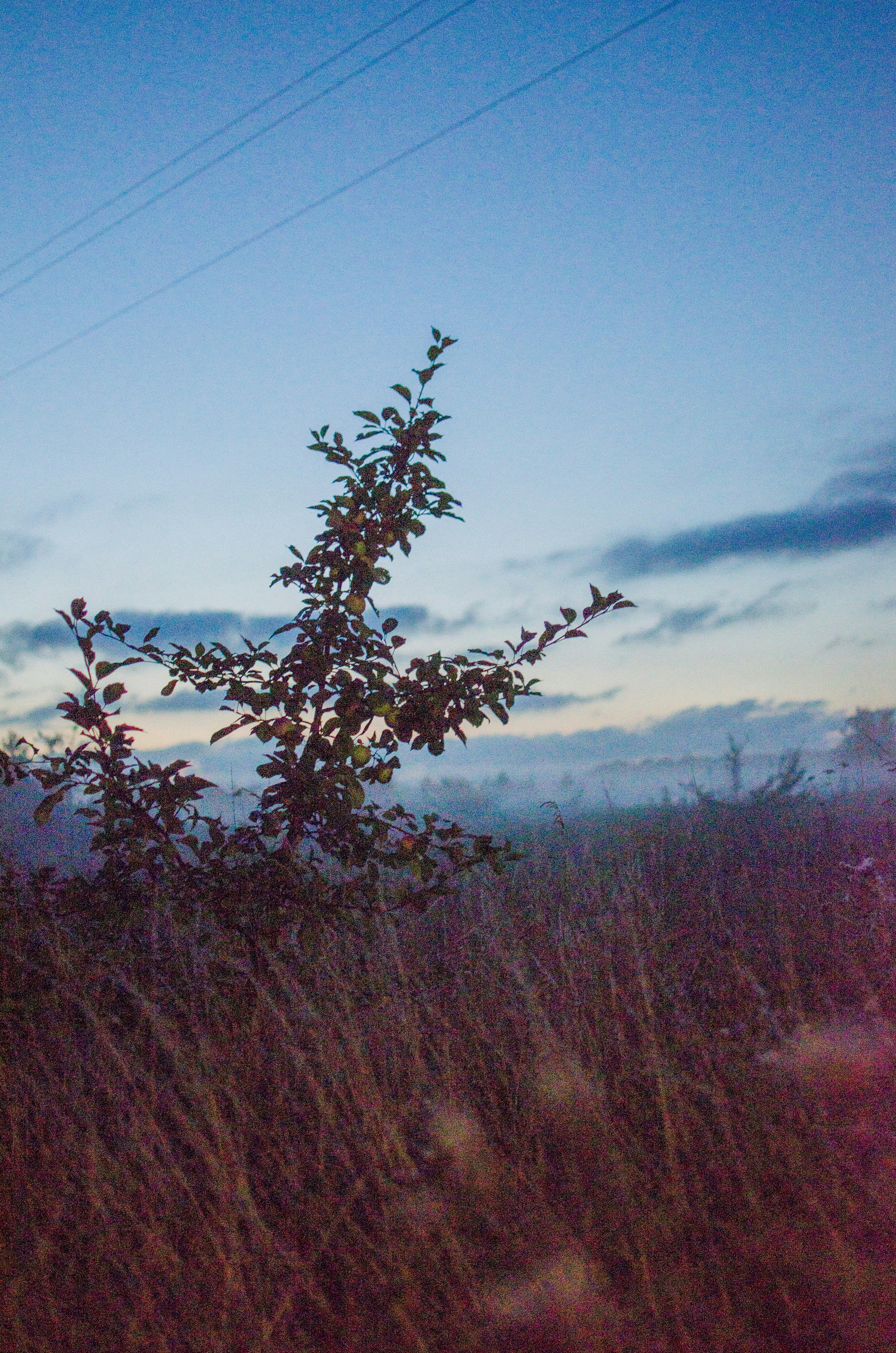 Photo by george_ph39