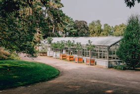 A large green house sitting next to a lush green forest