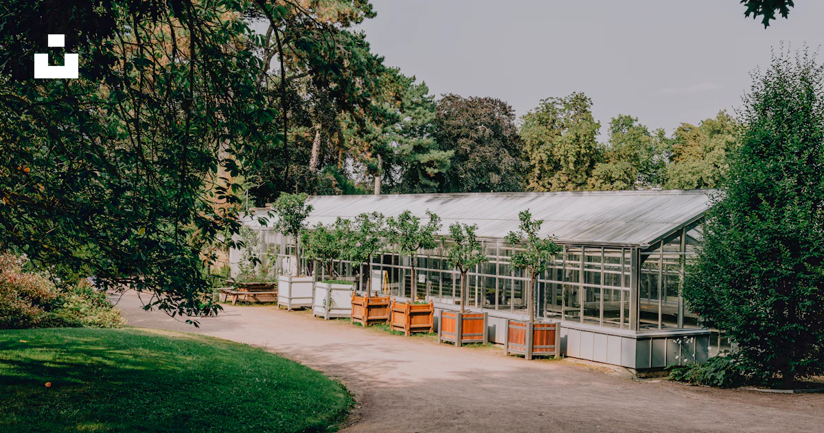 Una gran casa verde situada junto a un frondoso bosque verde foto ...