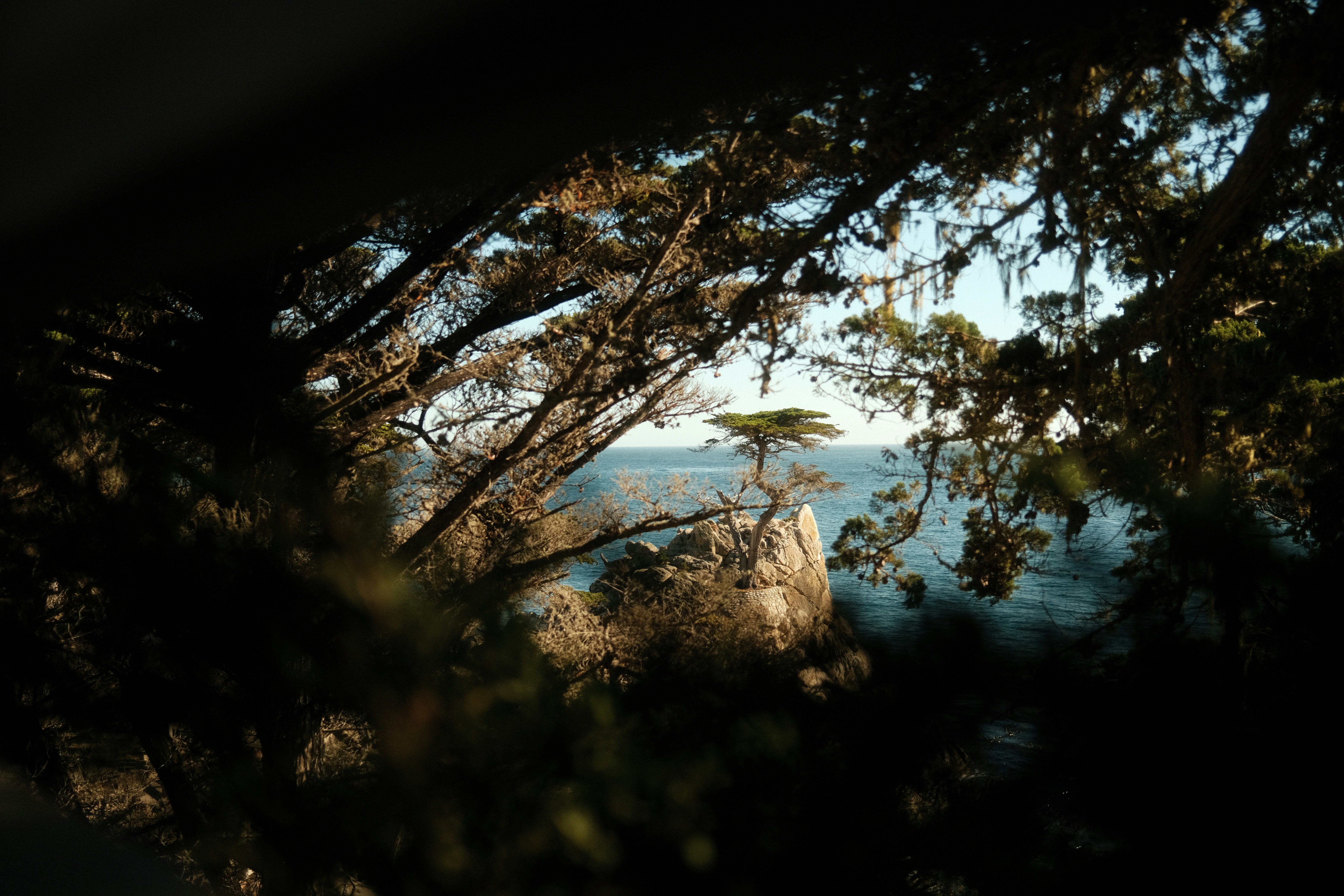 A view of a body of water through some trees