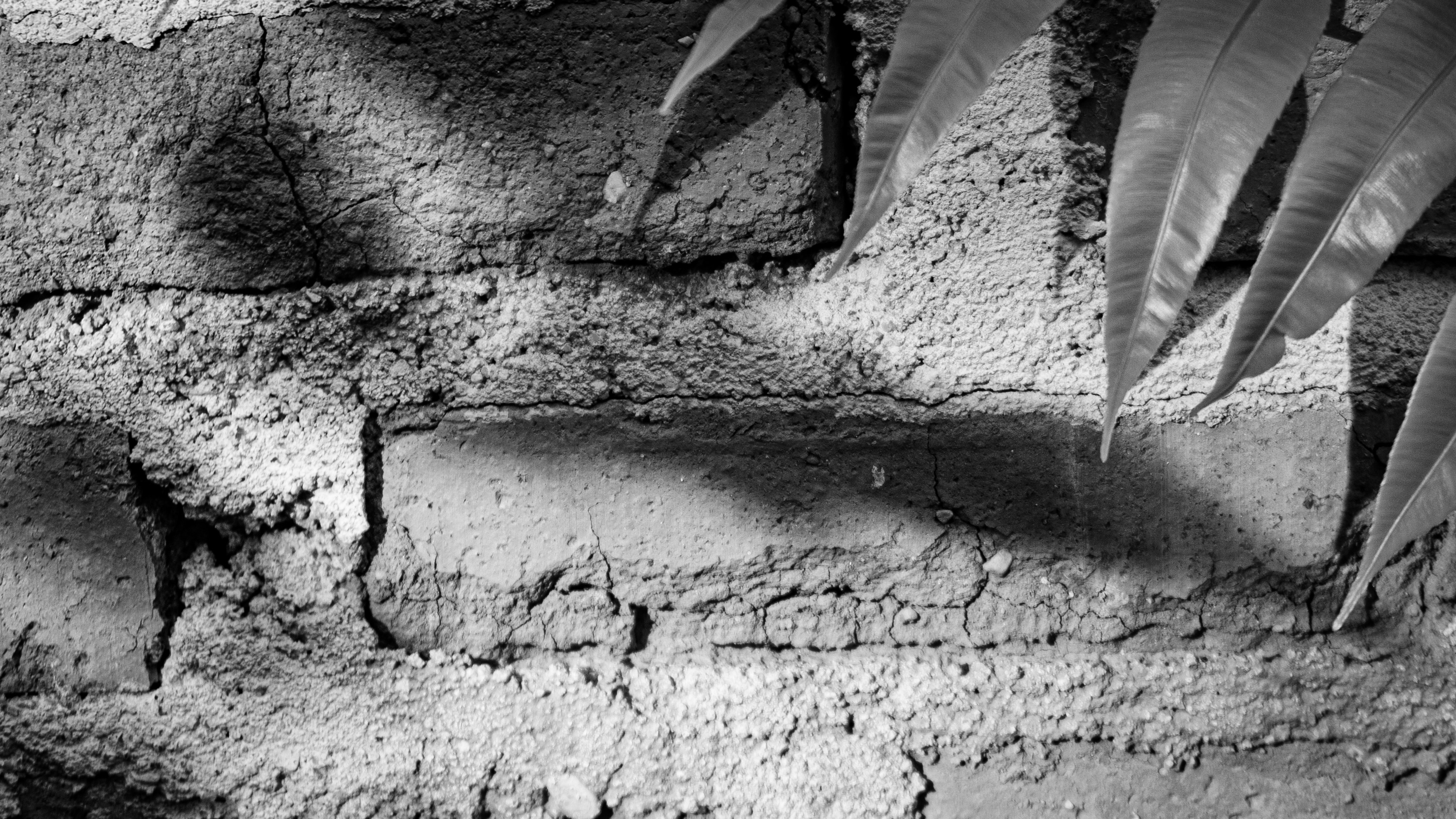 Photo by aletraekaye