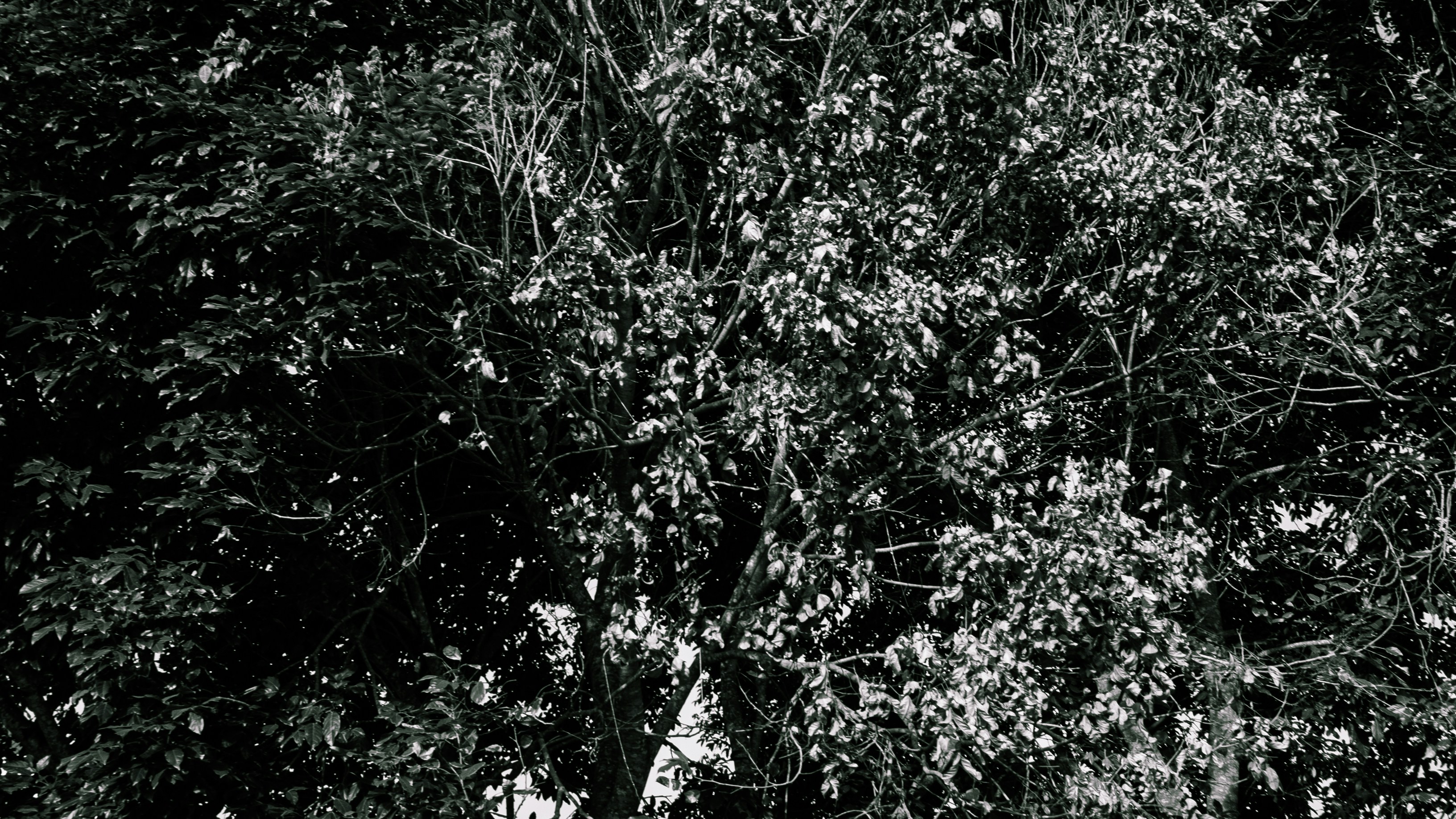 Photo by aletraekaye