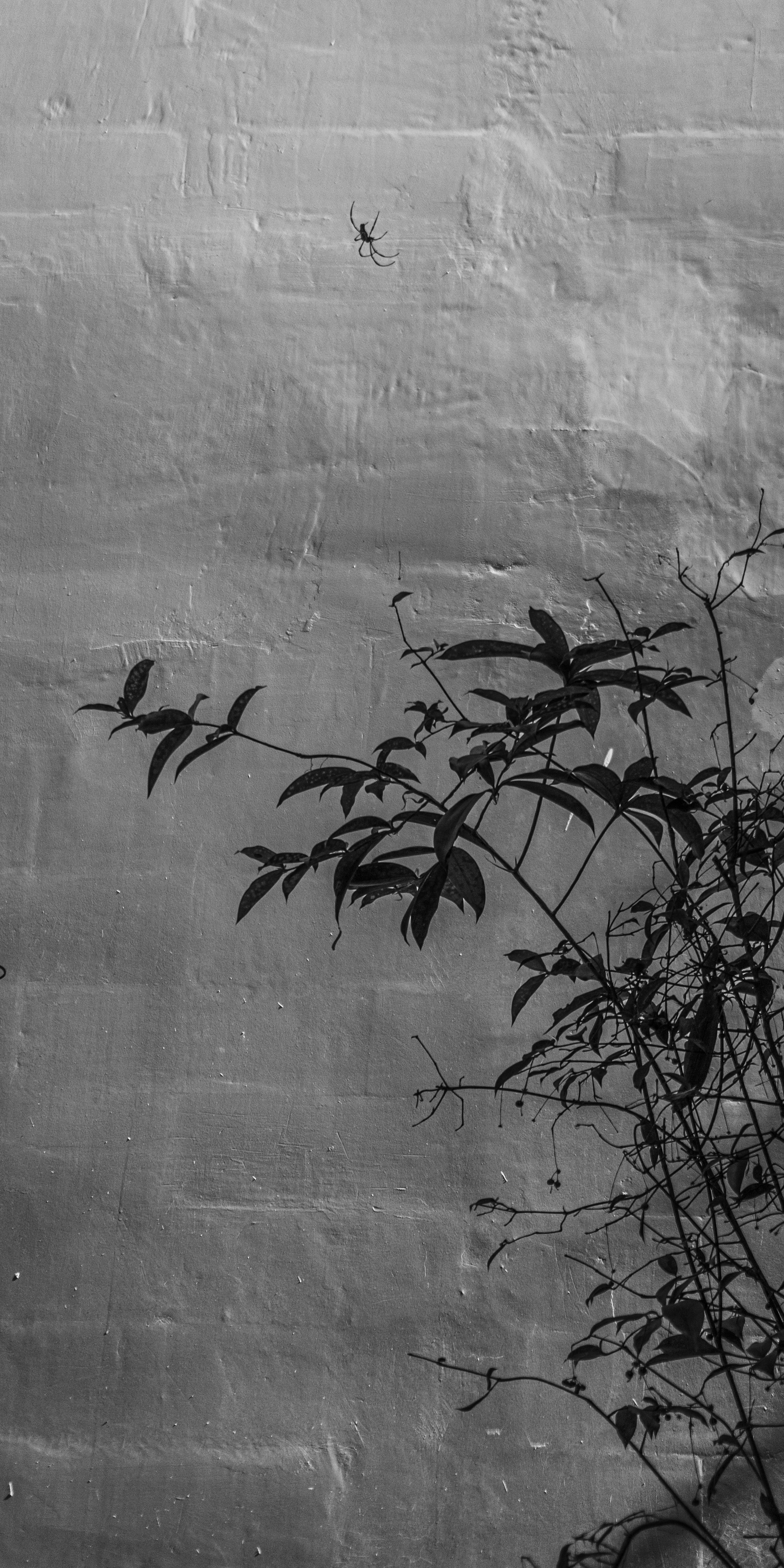 Photo by aletraekaye