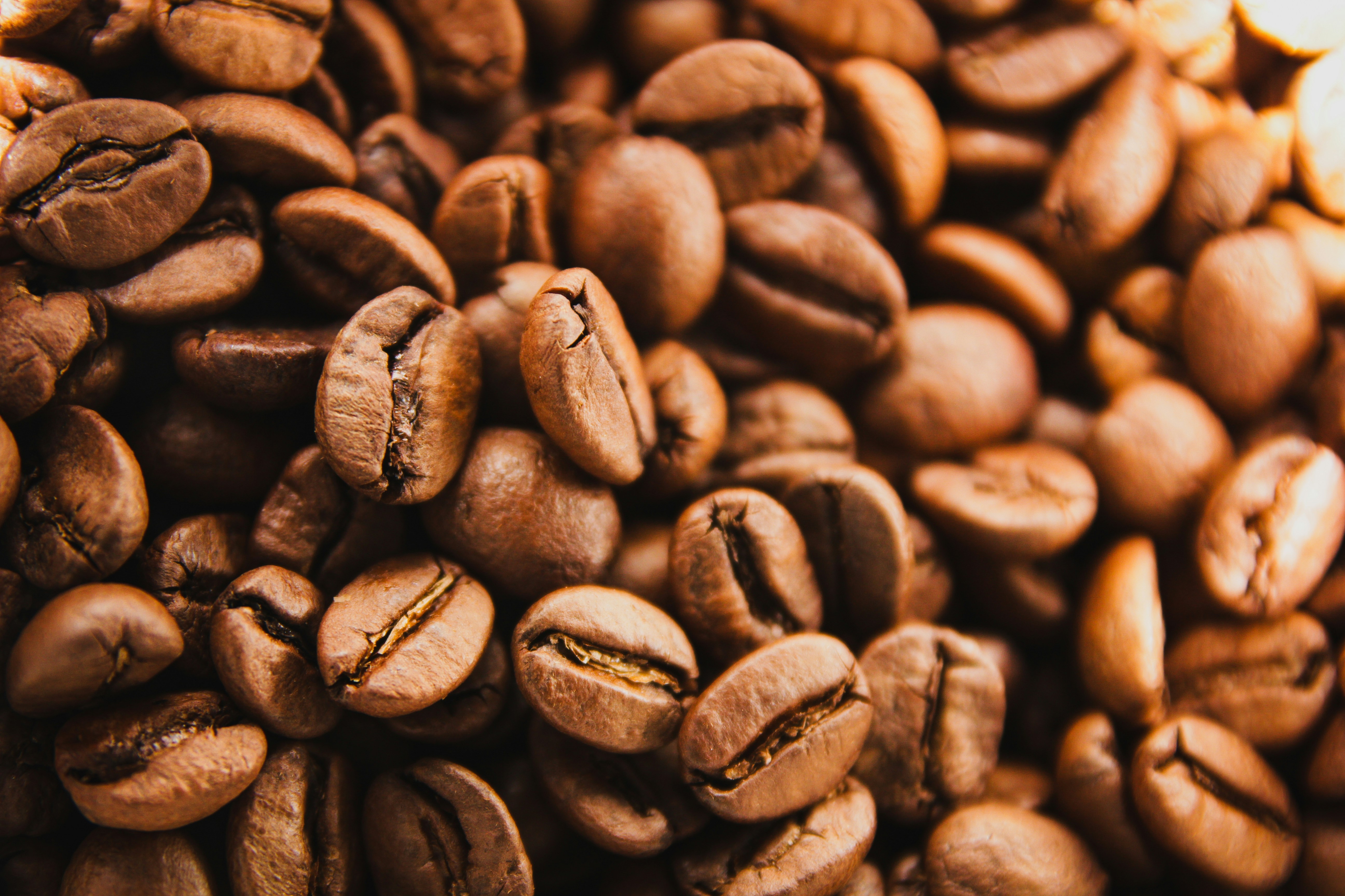 Guan Chong Berhad Acquires 25% of Transcao Côte d’Ivoire for $28.9m.