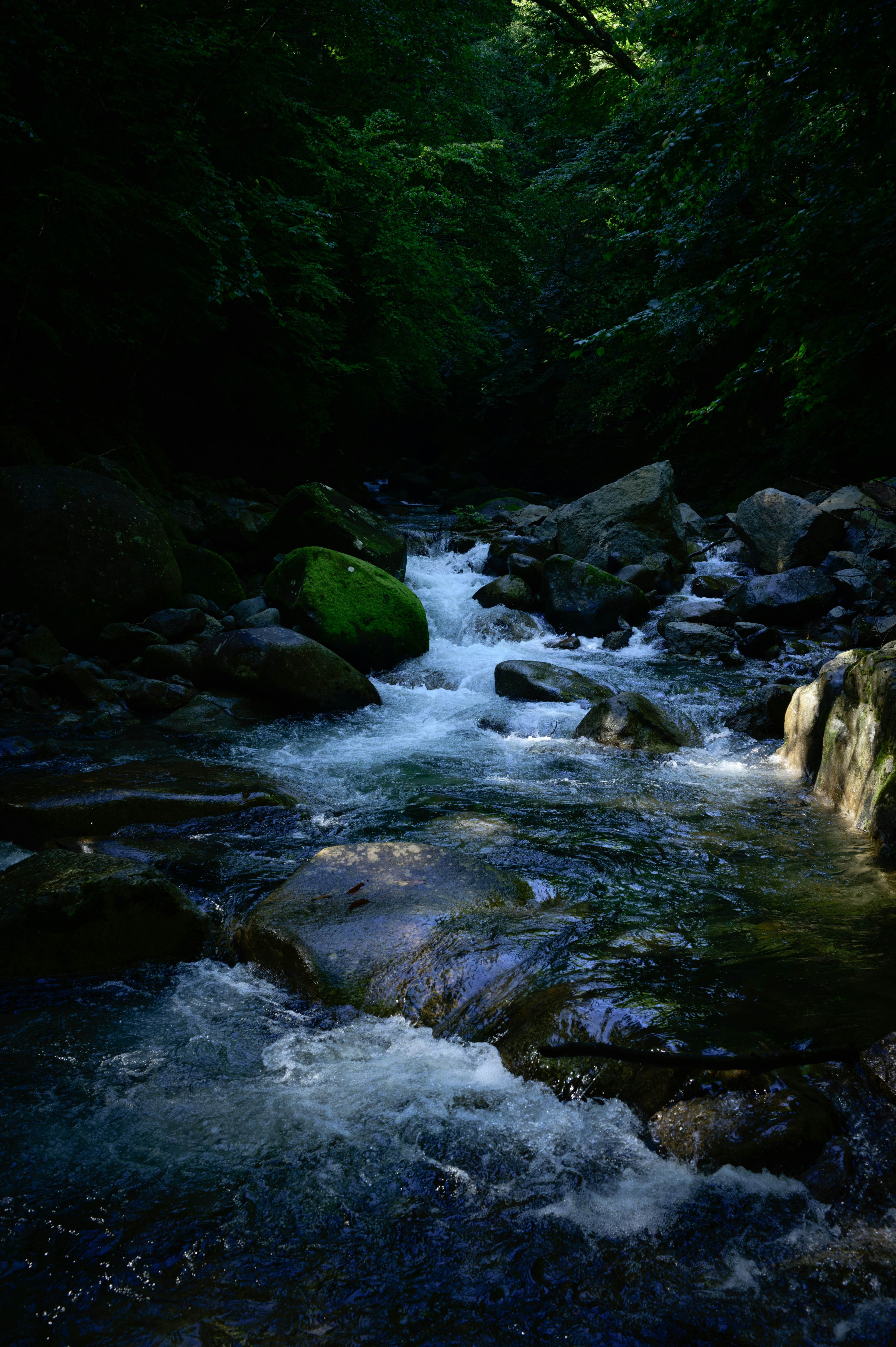 Photo by hayato_no_kiroku