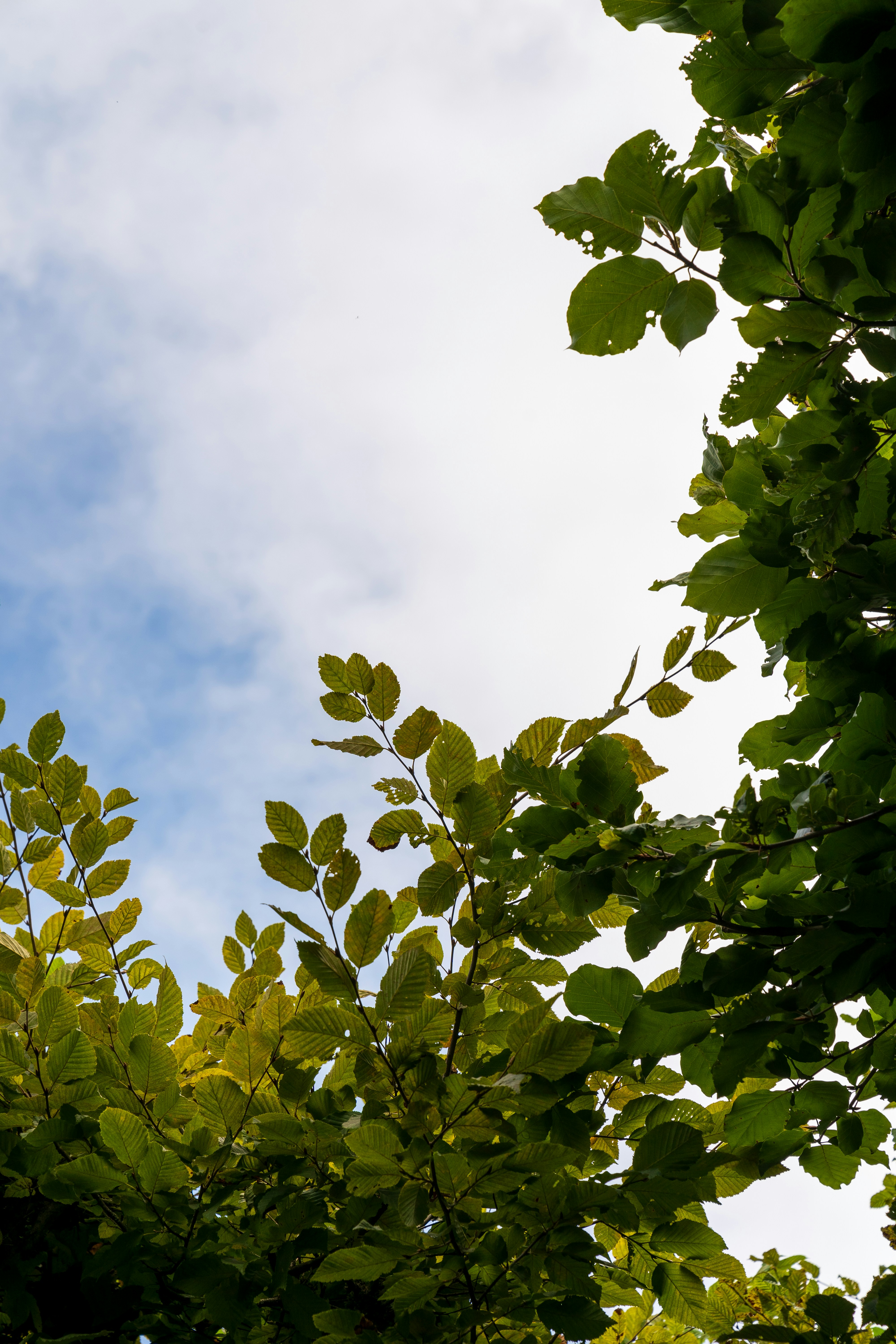 Photo by bangscreative