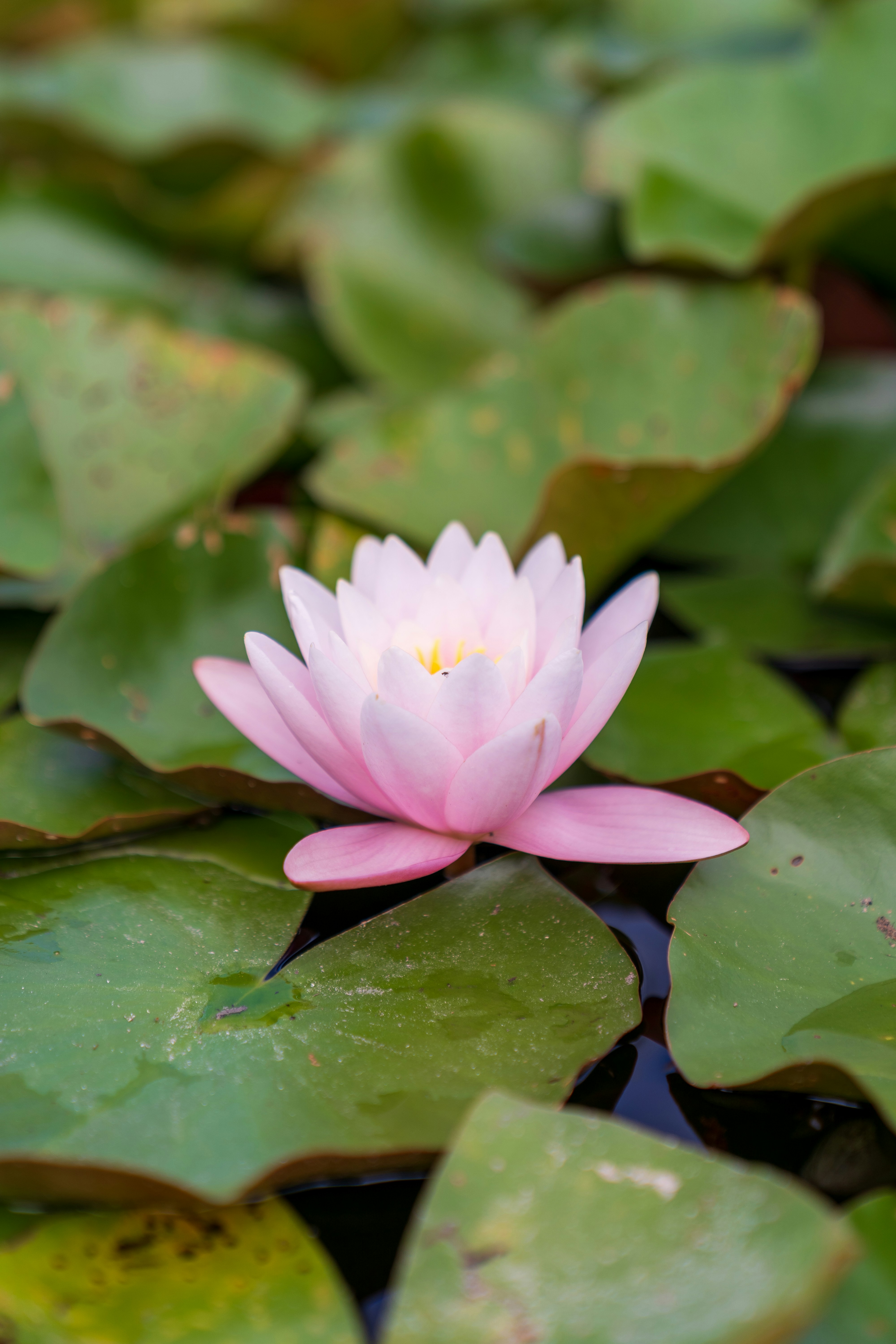 Photo by bangscreative