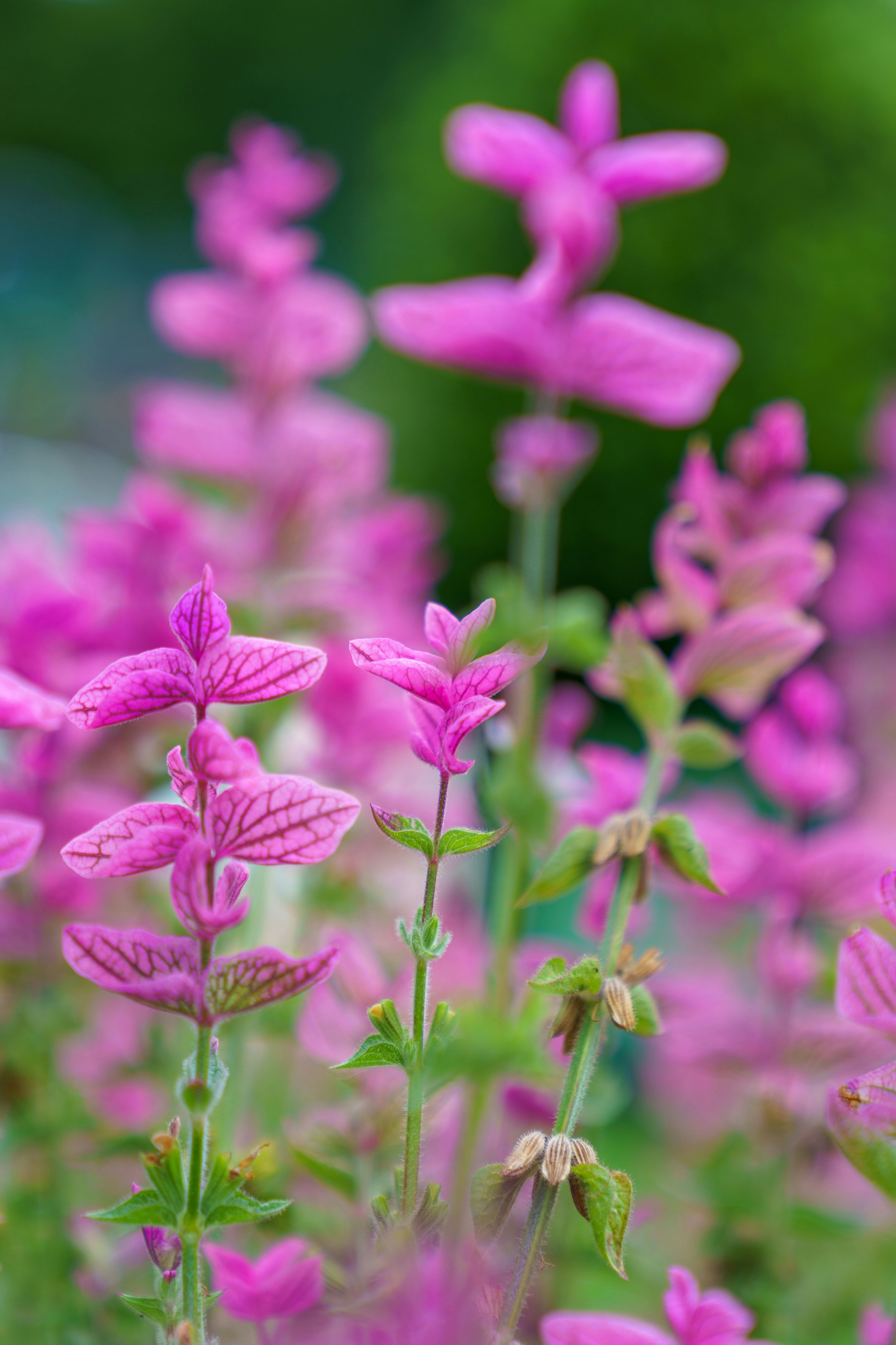 Photo by bangscreative