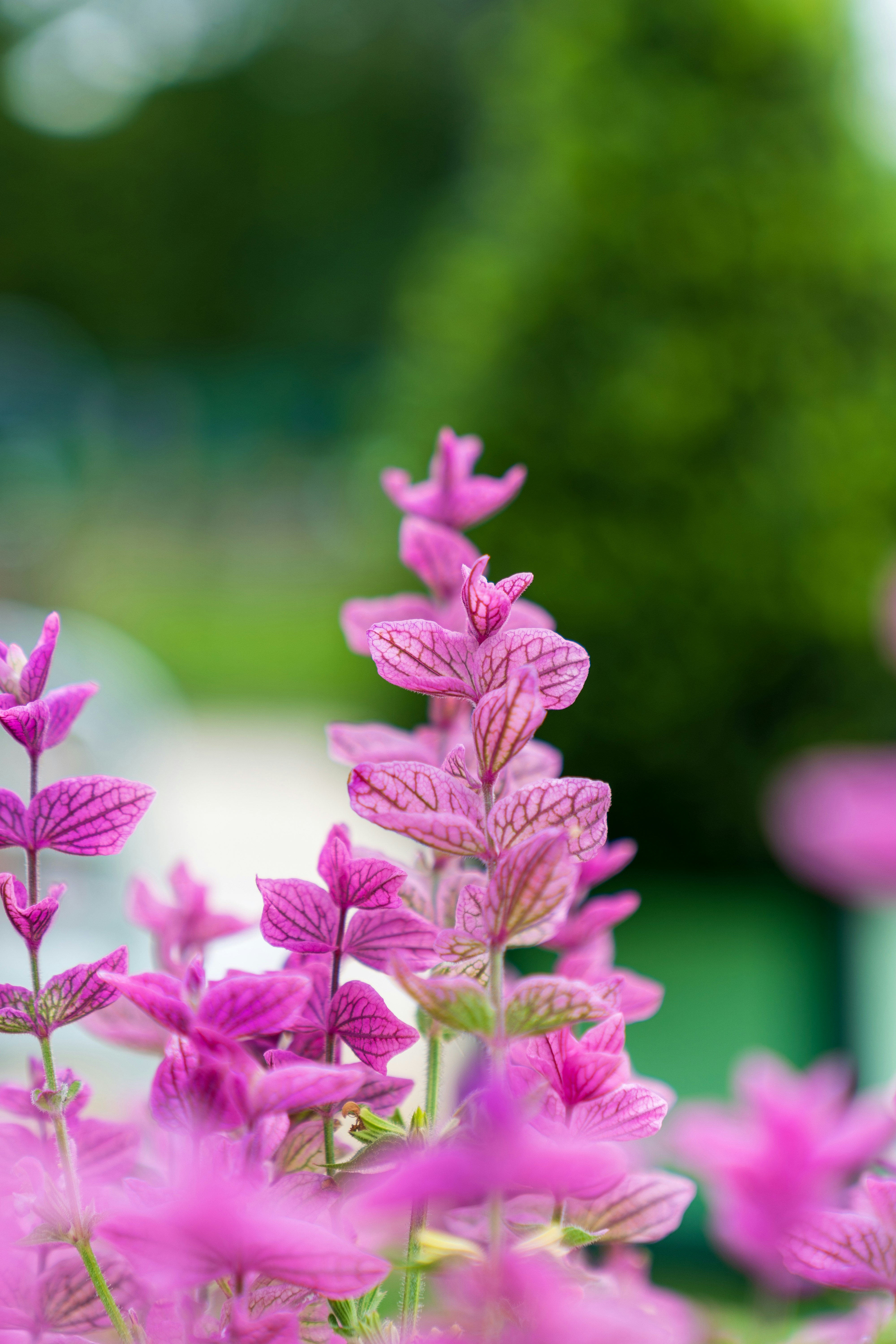 Photo by bangscreative