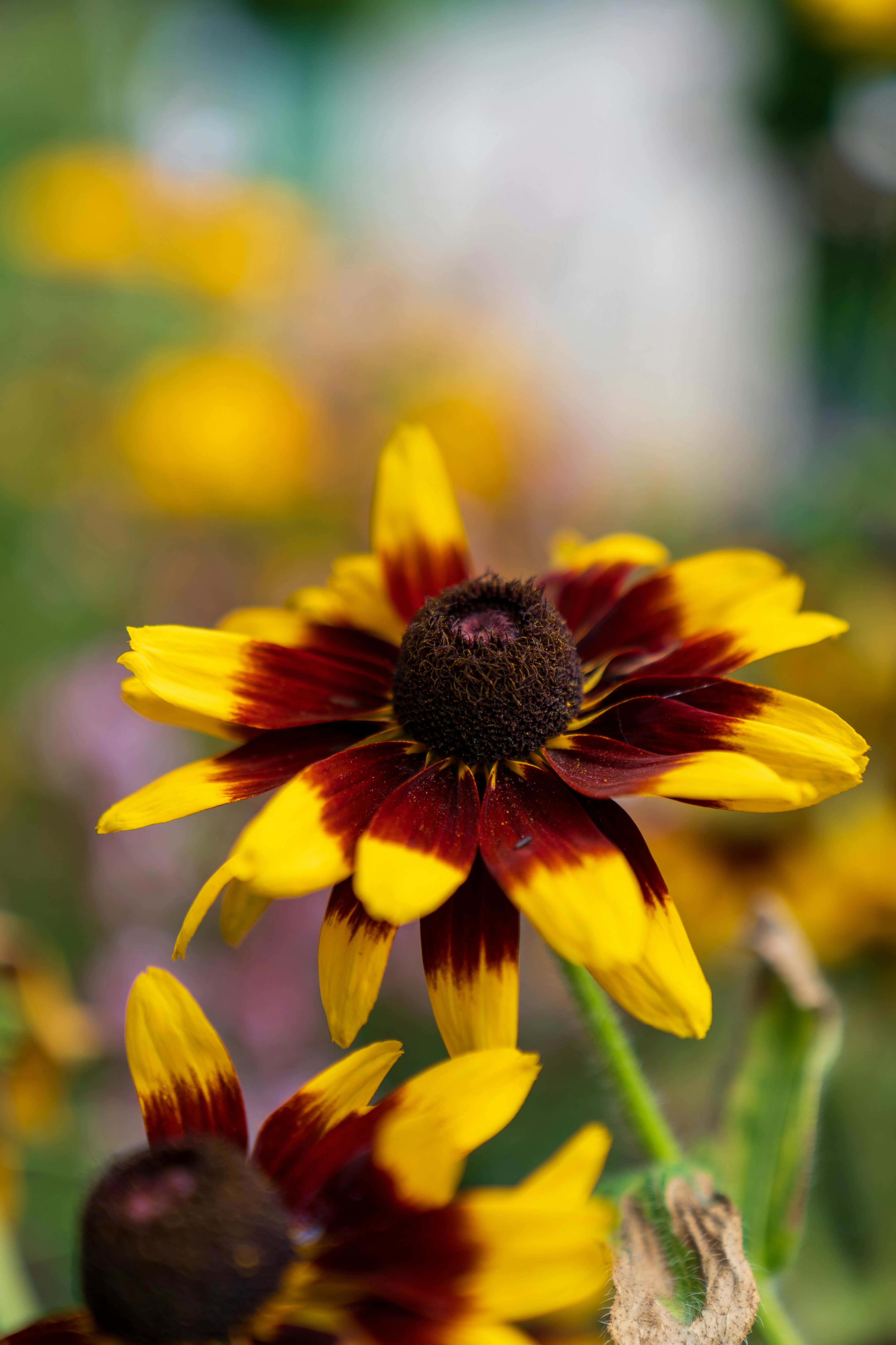 Photo by bangscreative