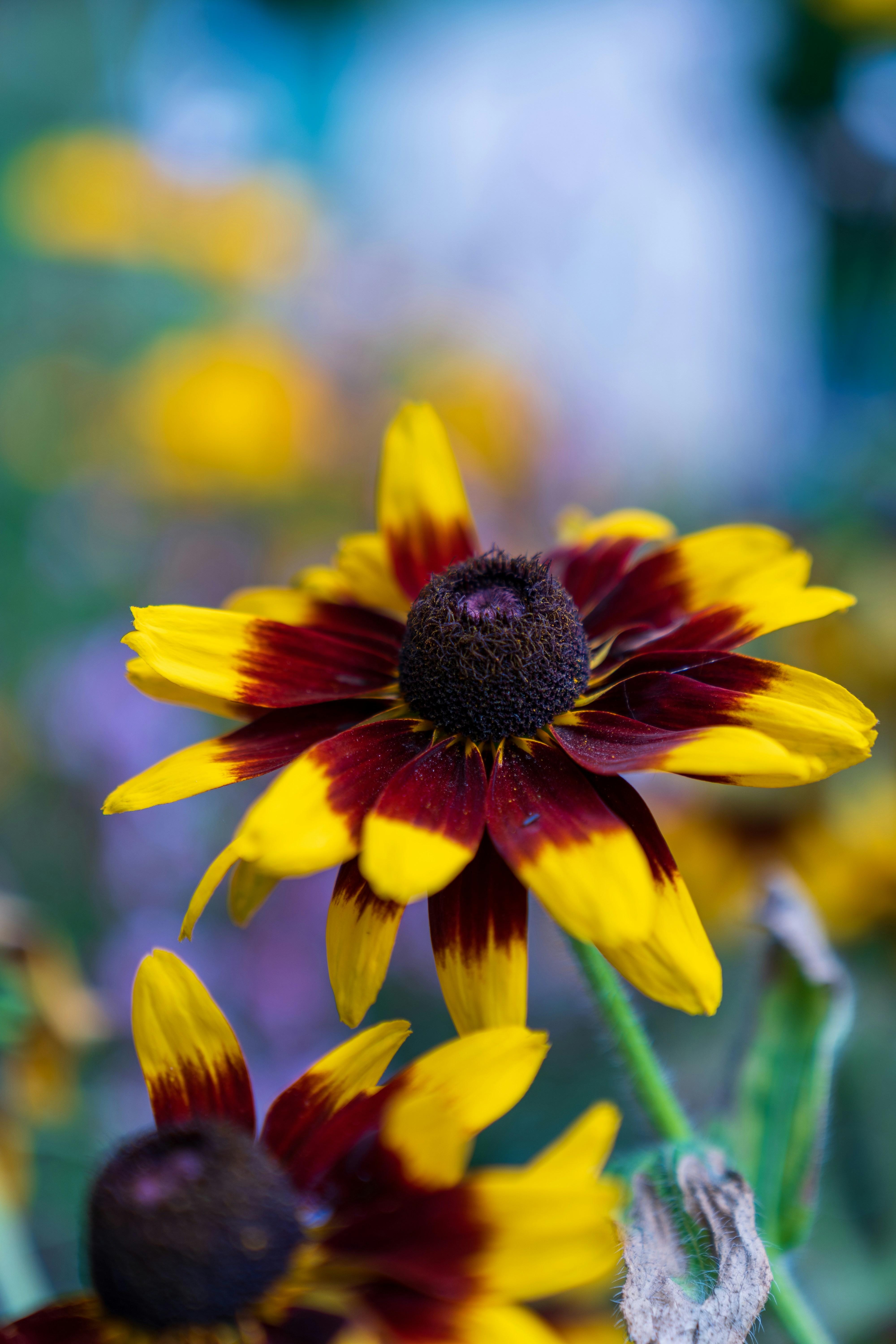 Photo by bangscreative