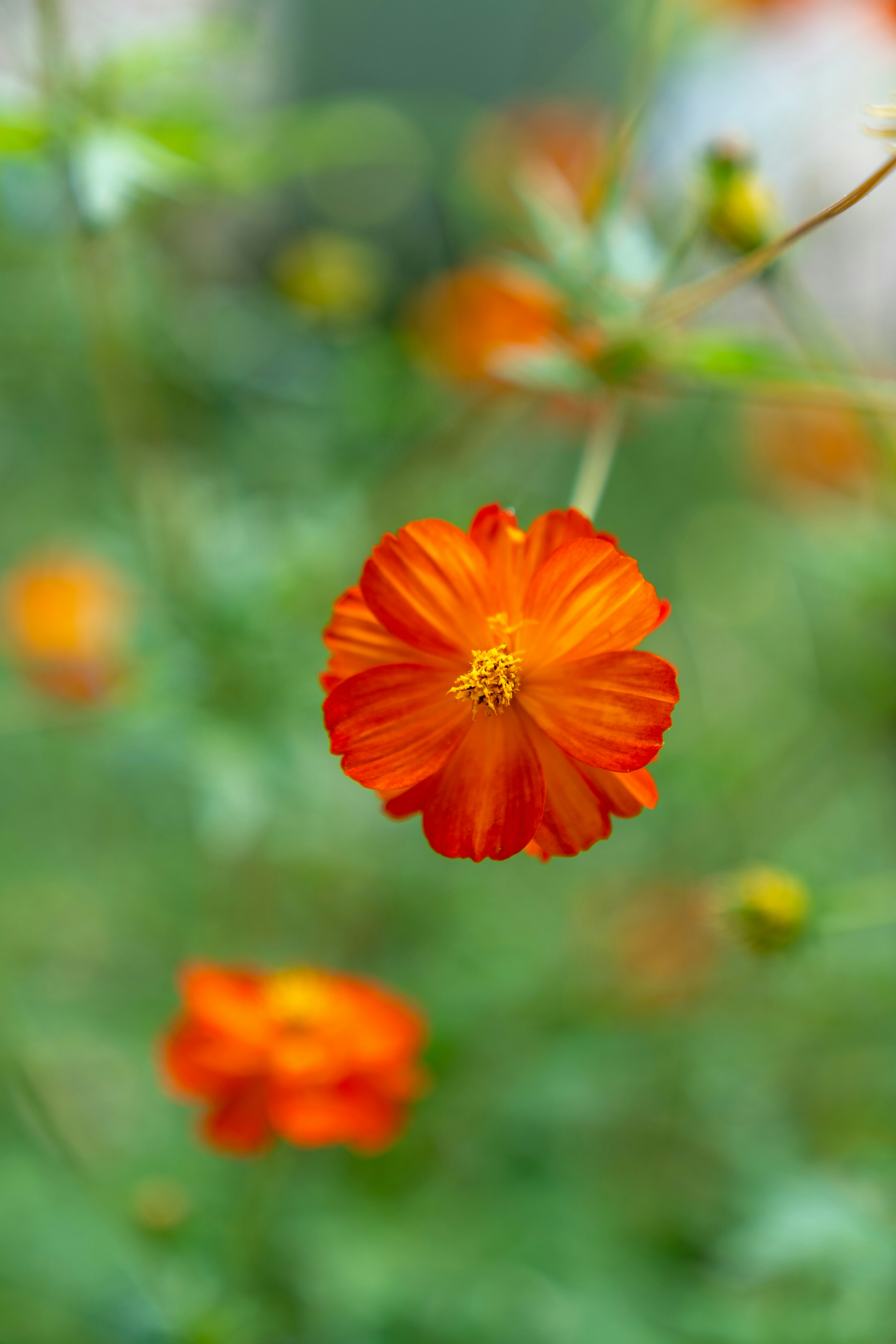 Photo by bangscreative