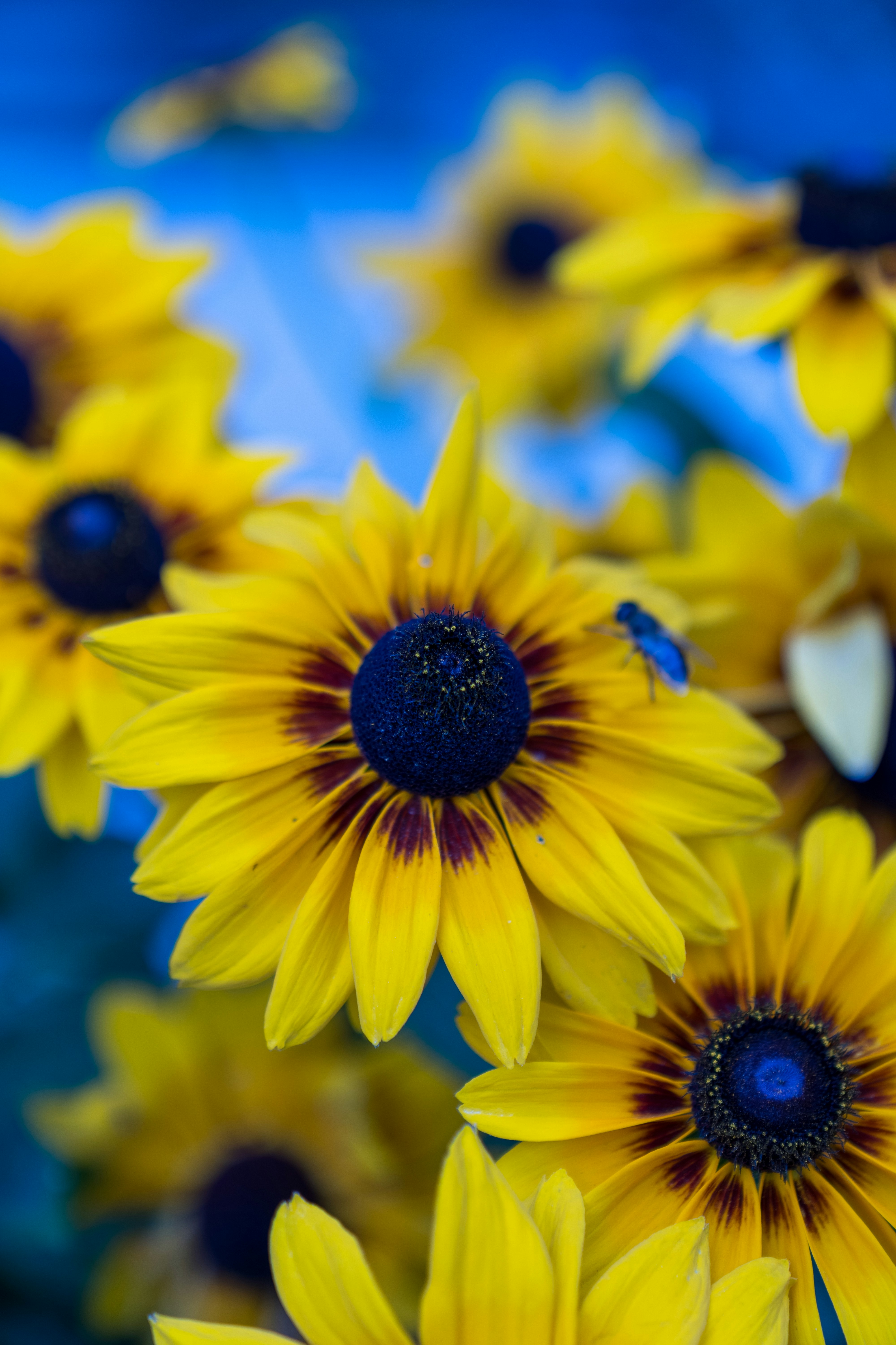 Photo by bangscreative