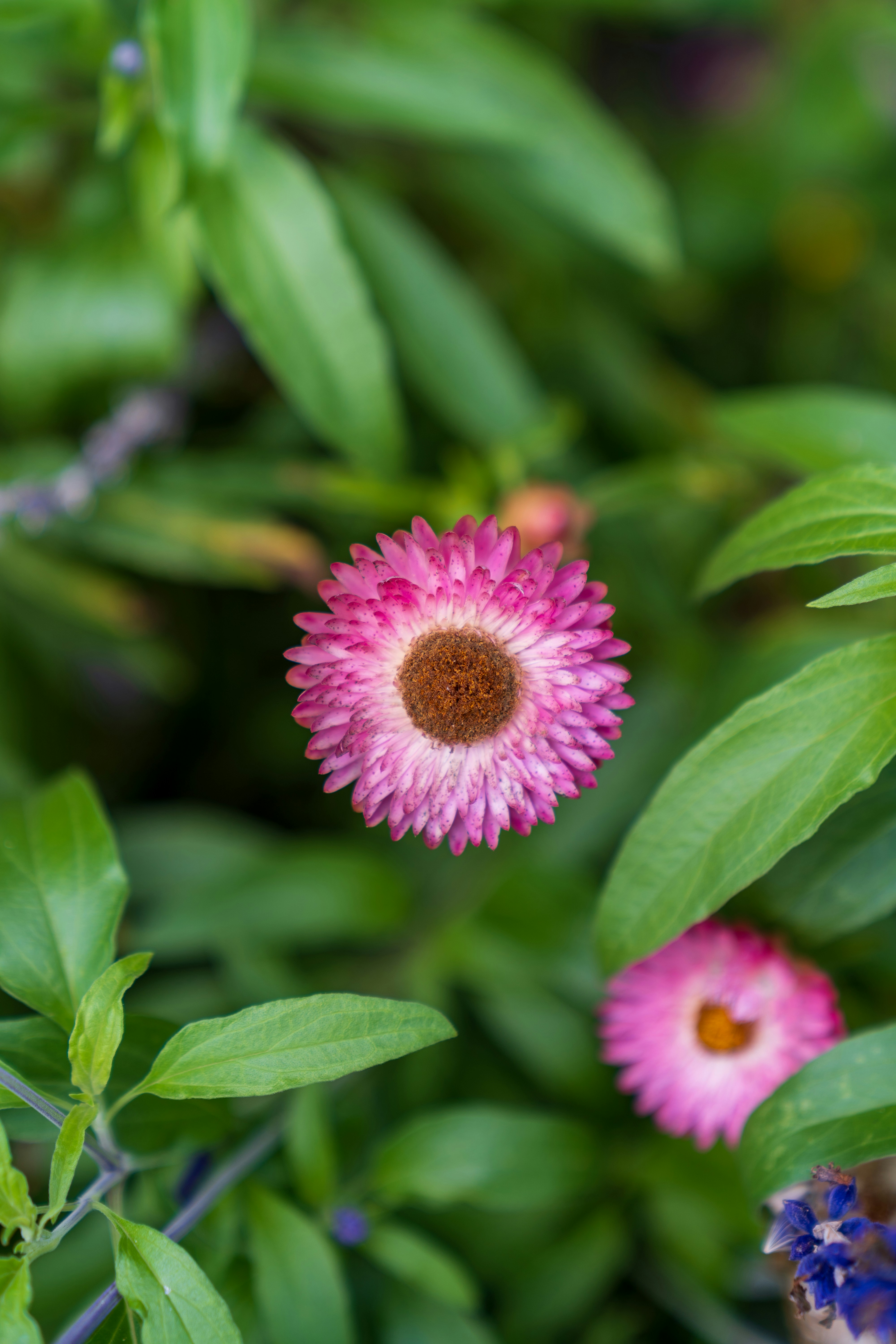 Photo by bangscreative