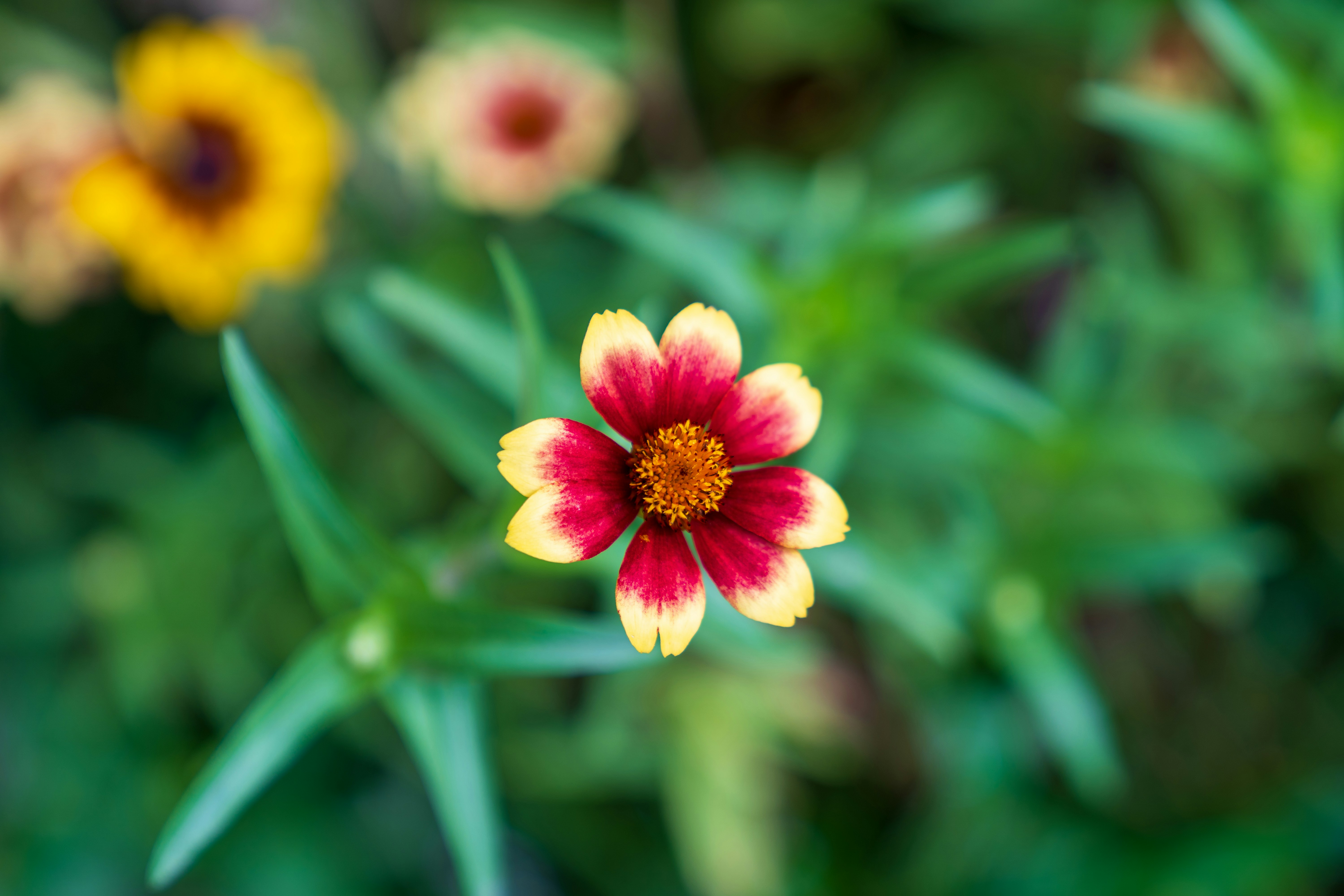 Photo by bangscreative